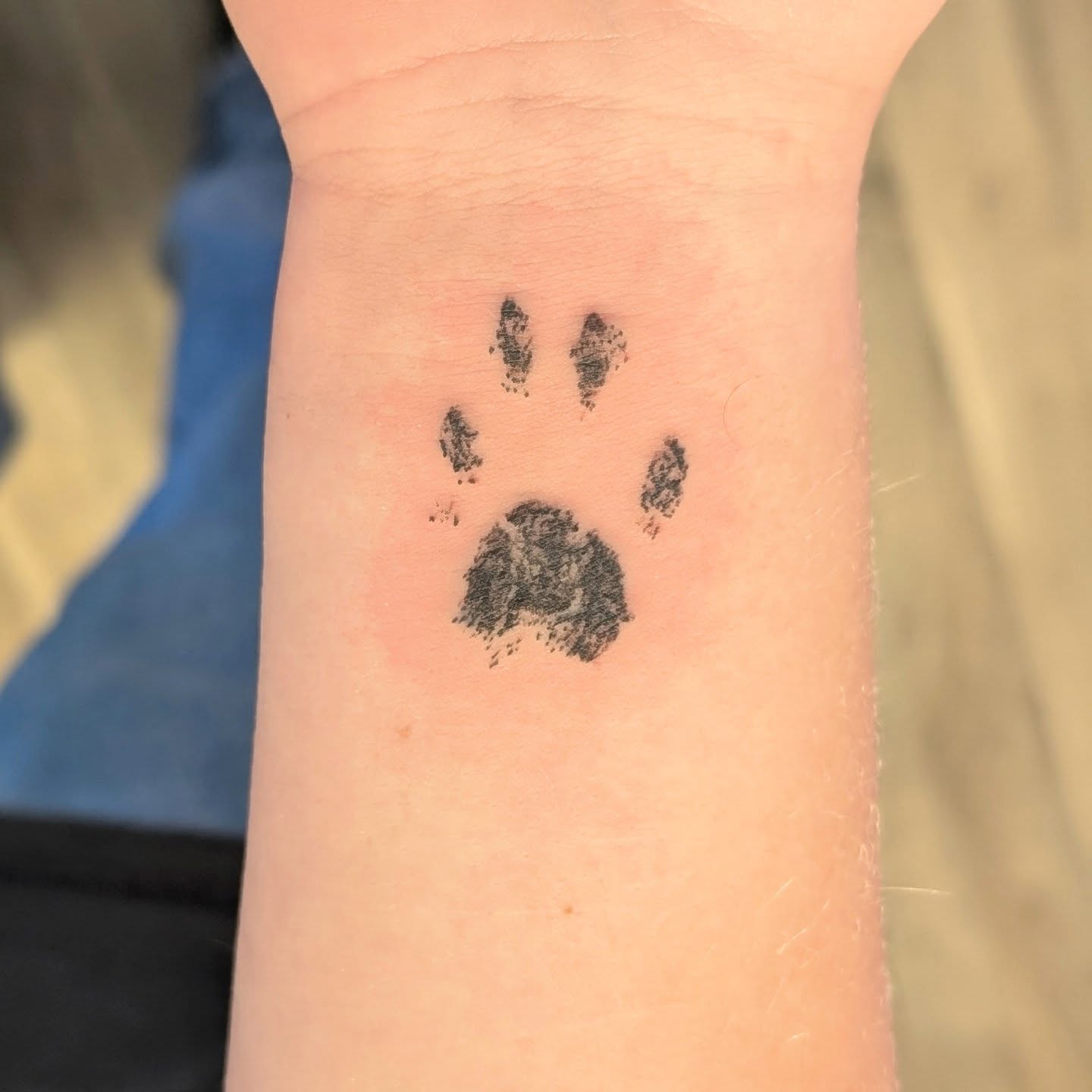Minimal Cat Paw