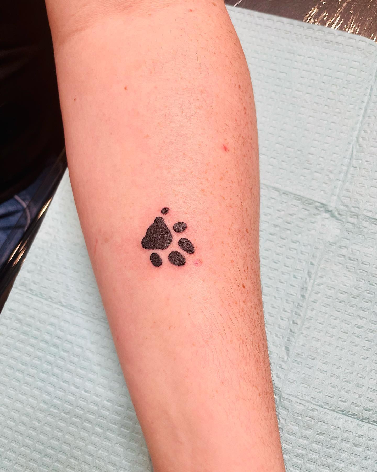 Minimal Cat Paw