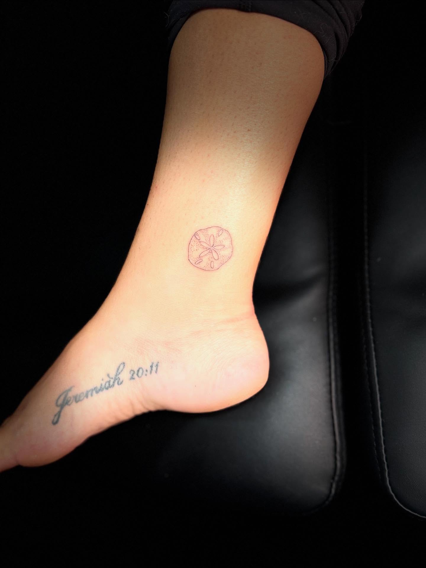 Delicate Sand Dollar