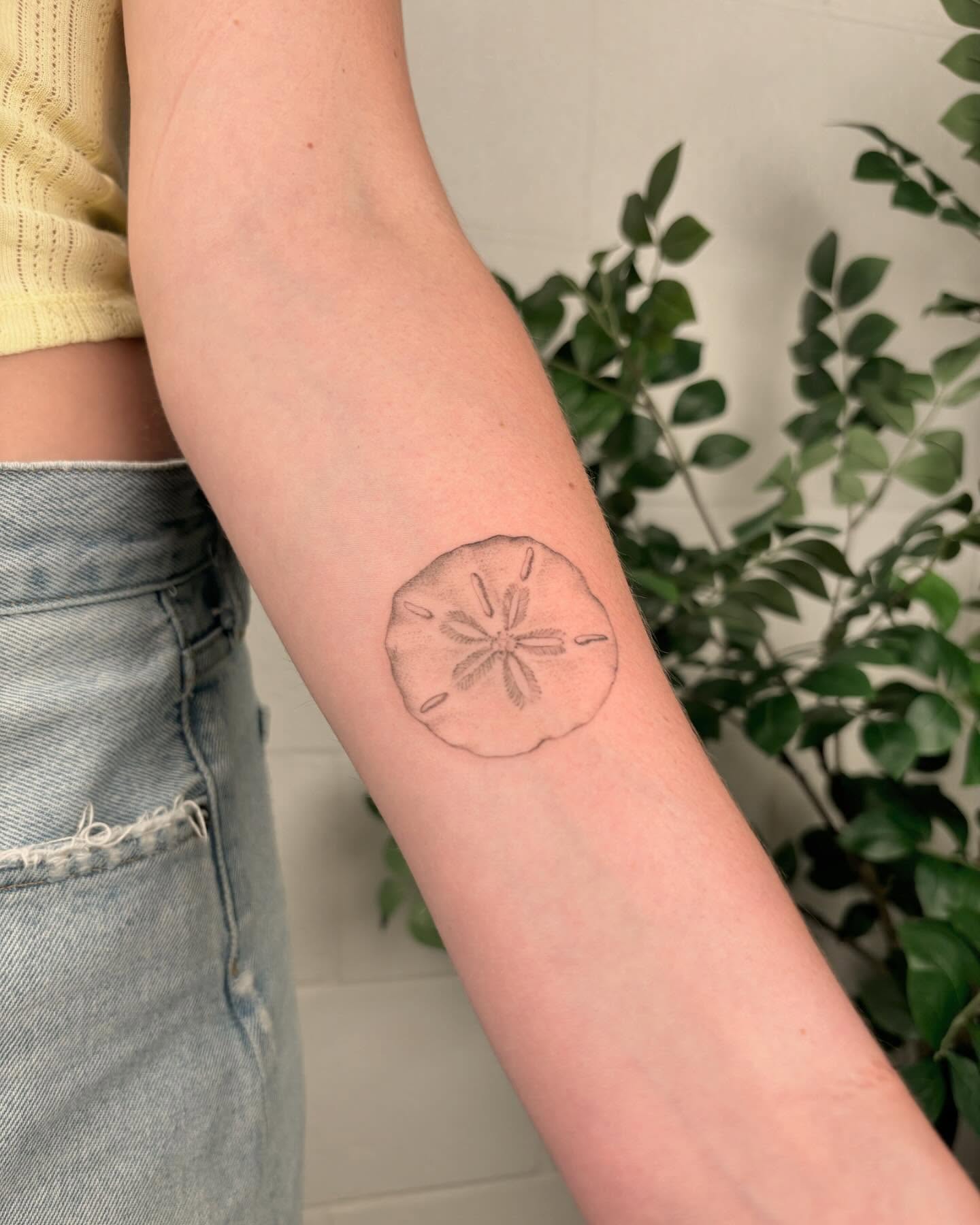 Minimal Sand Dollar