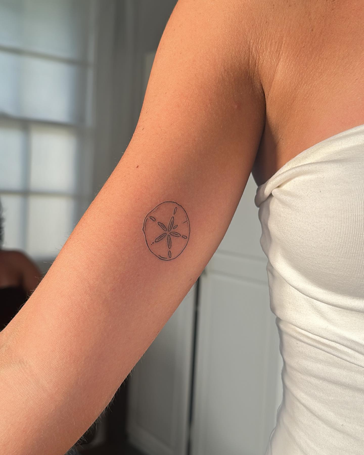 Minimal Sand Dollar