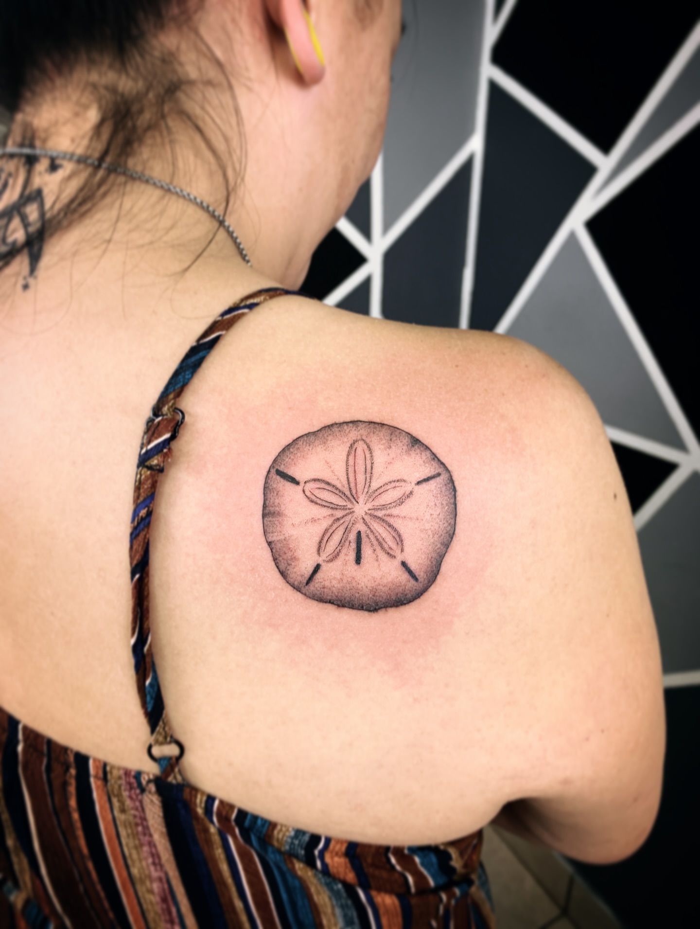 Minimal Sand Dollar Bloom