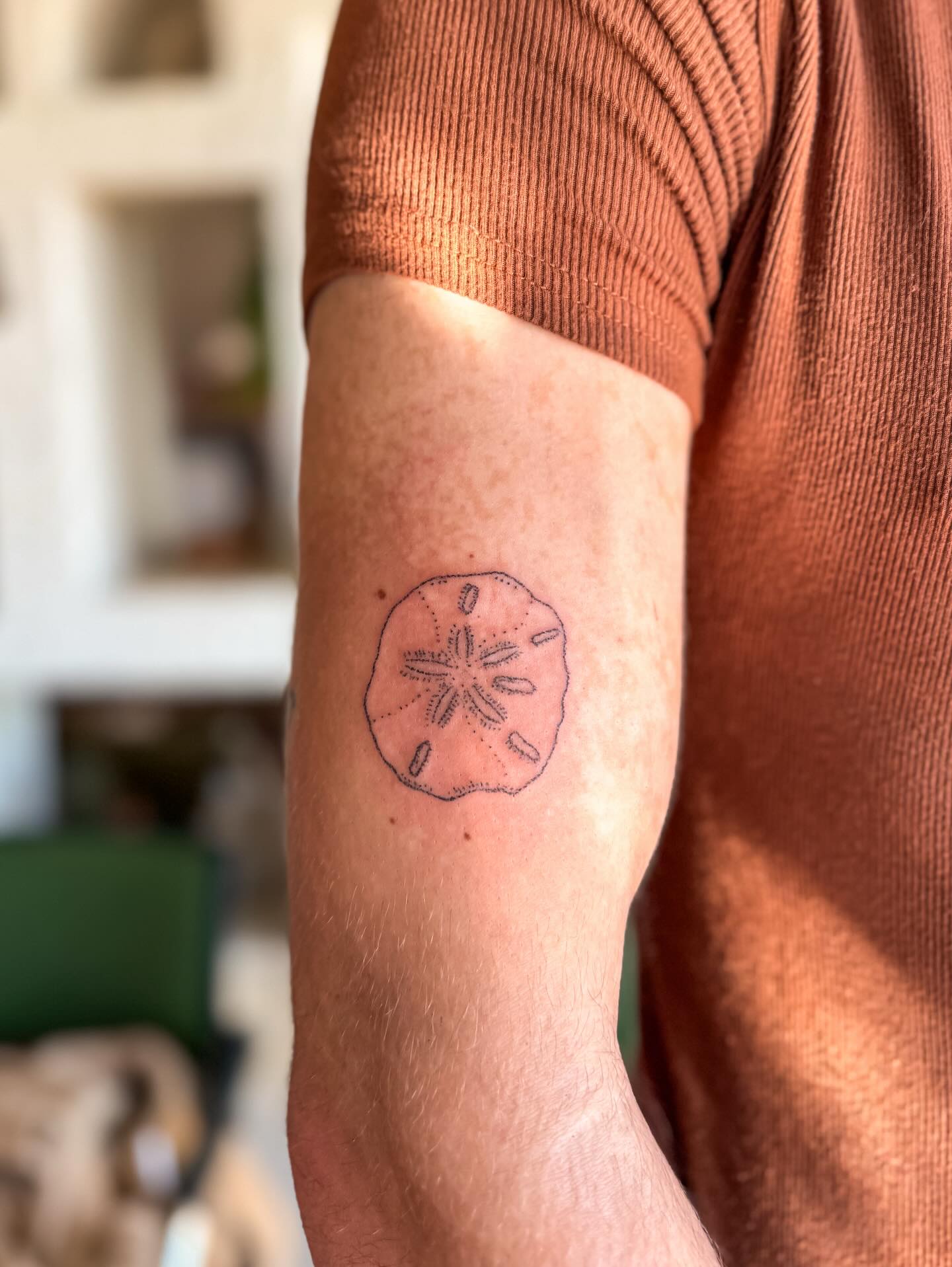Minimal Sand Dollar