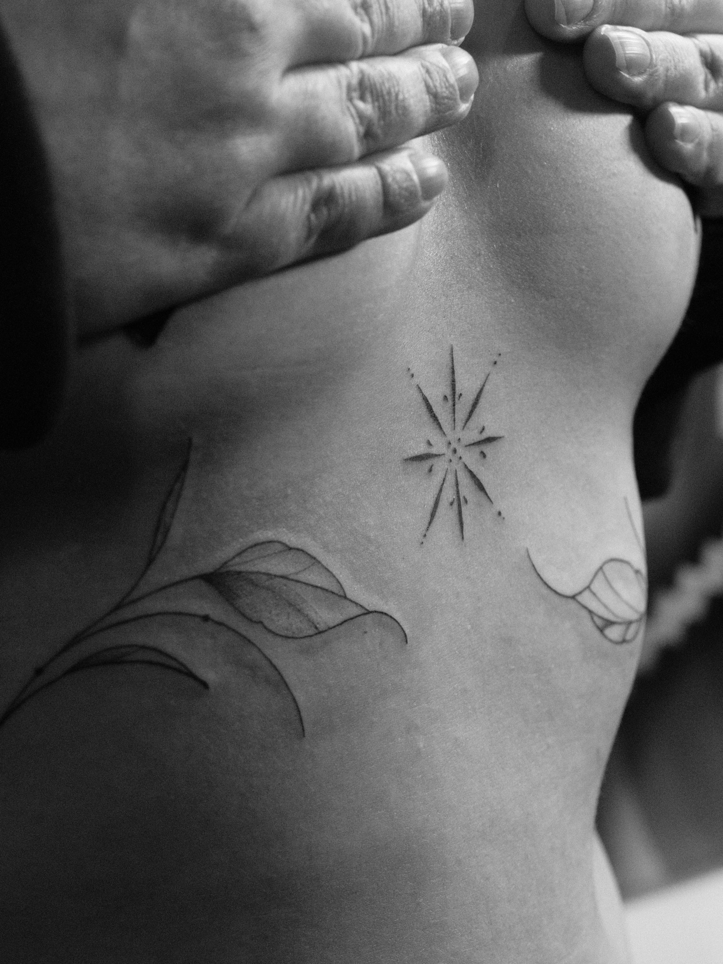 Minimal Star Underbreast