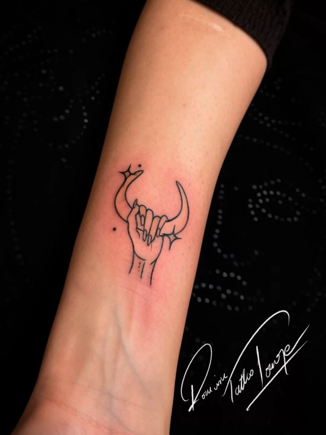 Taurus Minimal Bull