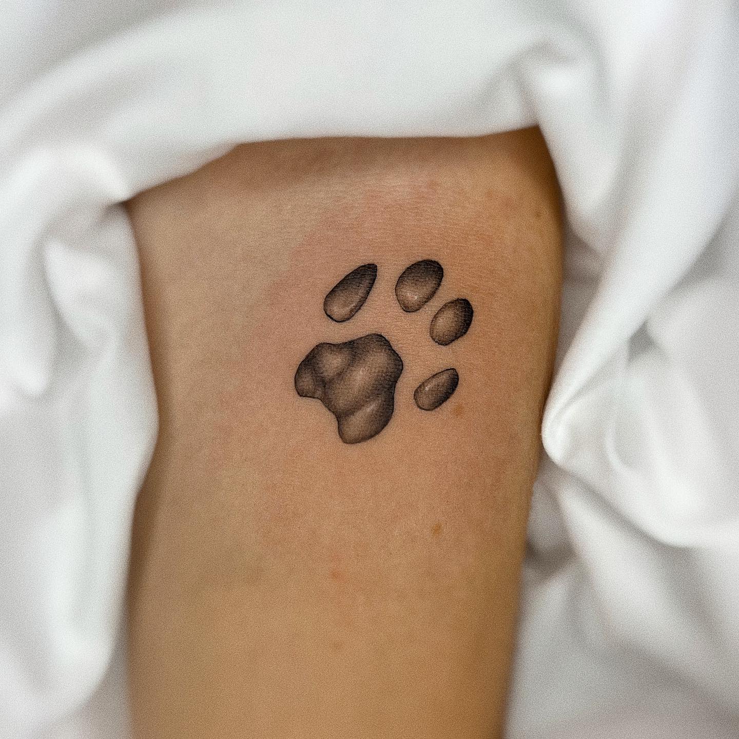 Minimalist Cat Paw Print