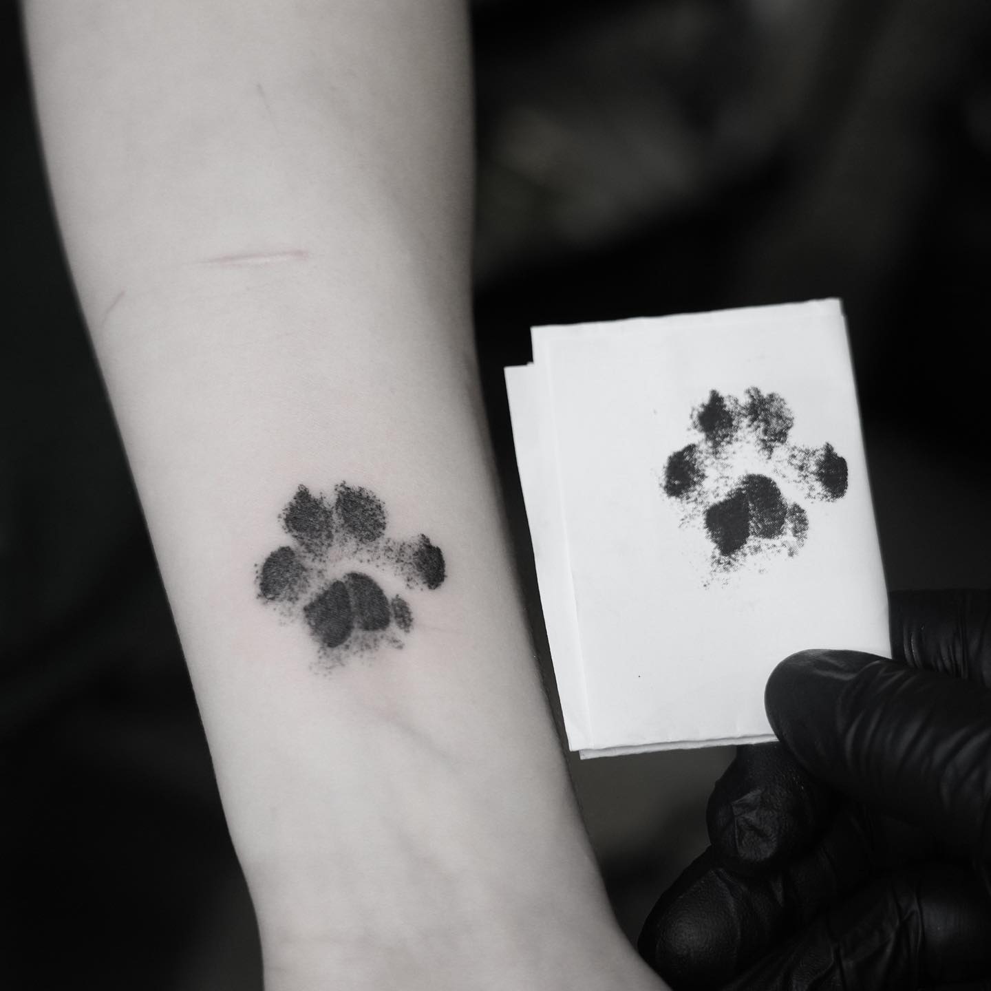 Minimalist Cat Paw Print