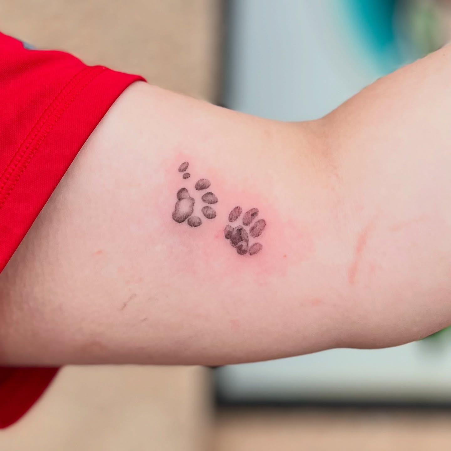 Small Cat Paw Marks