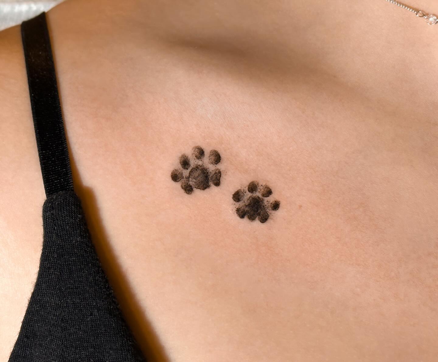 Minimalist Cat Paw Prints