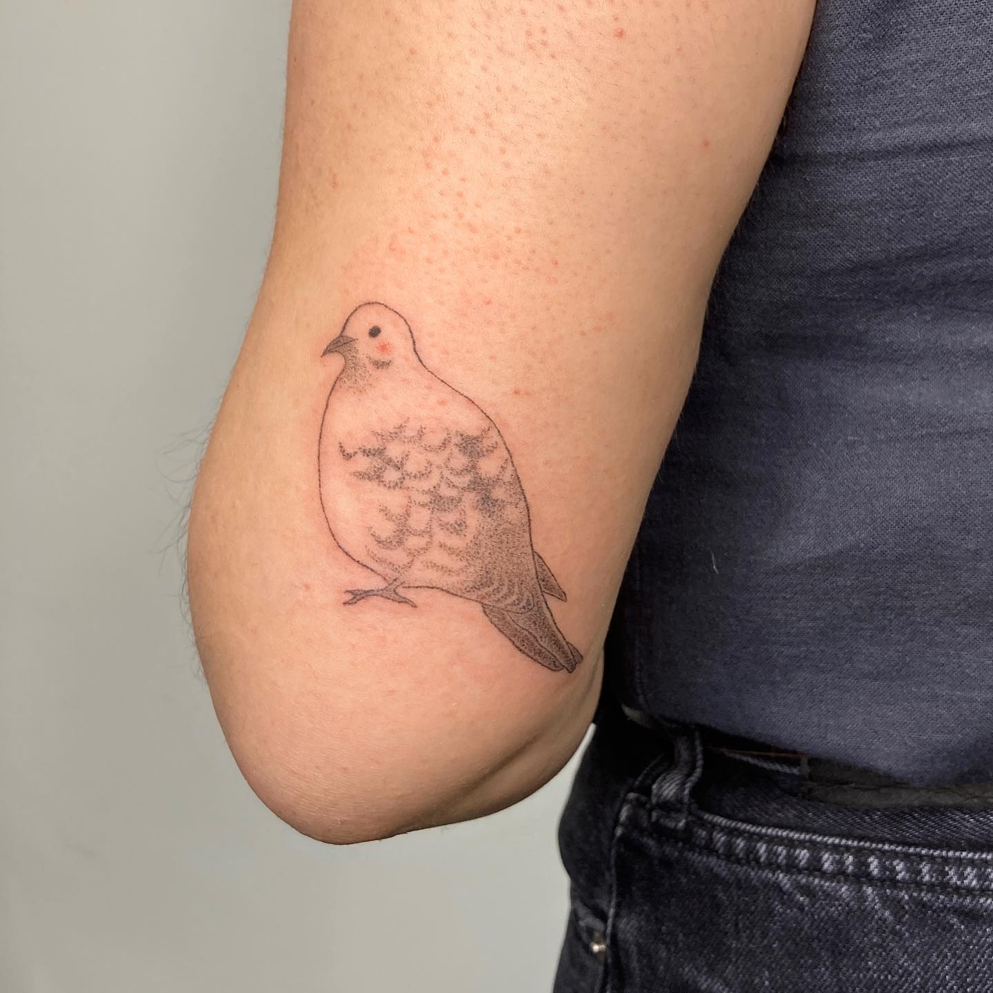 Minimalist Dove Silhouette