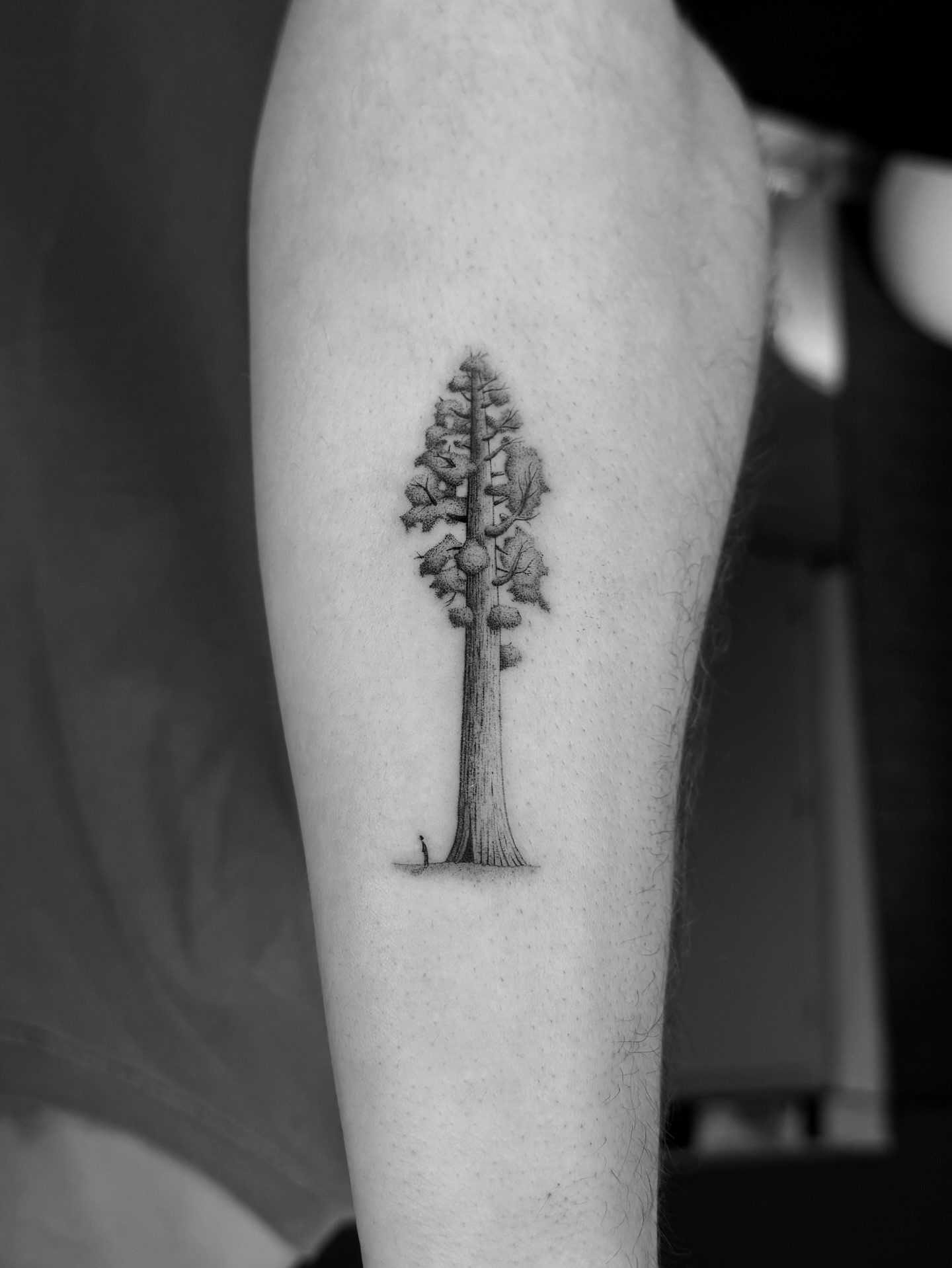 Minimalist Giant Tree