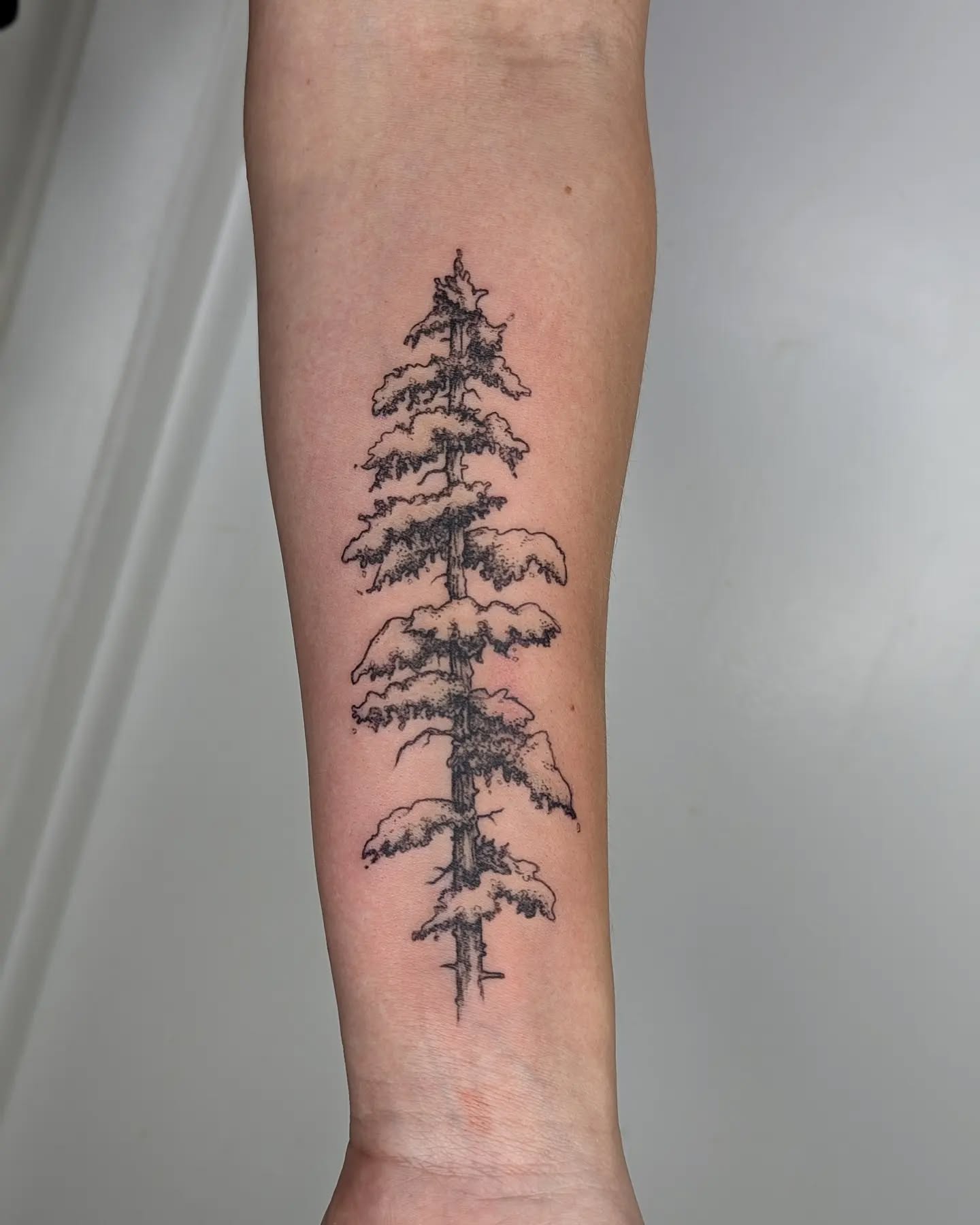 Minimalist Pine Tree