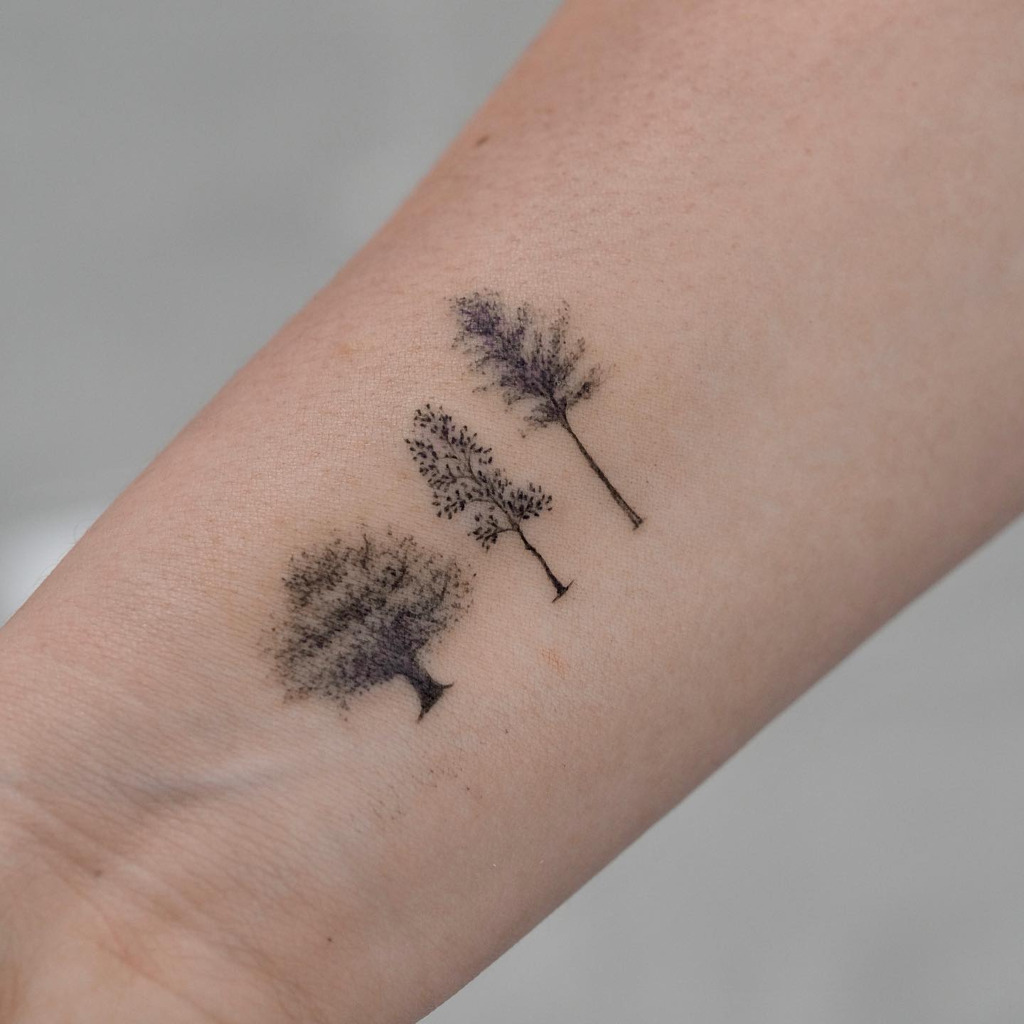 Minimalist Tree Trio