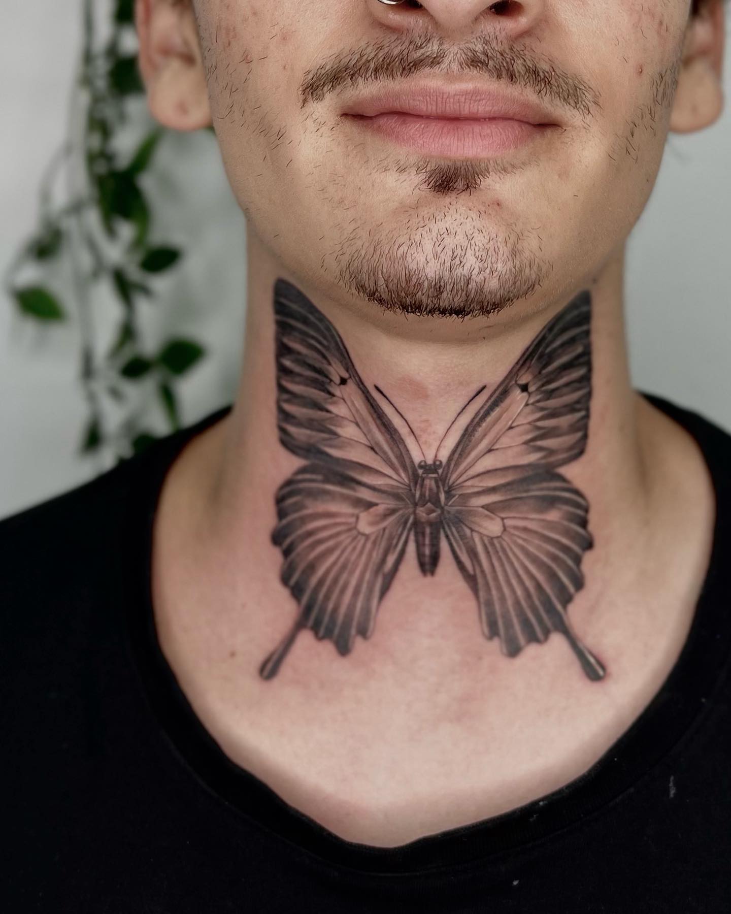 Moth Throat Wings