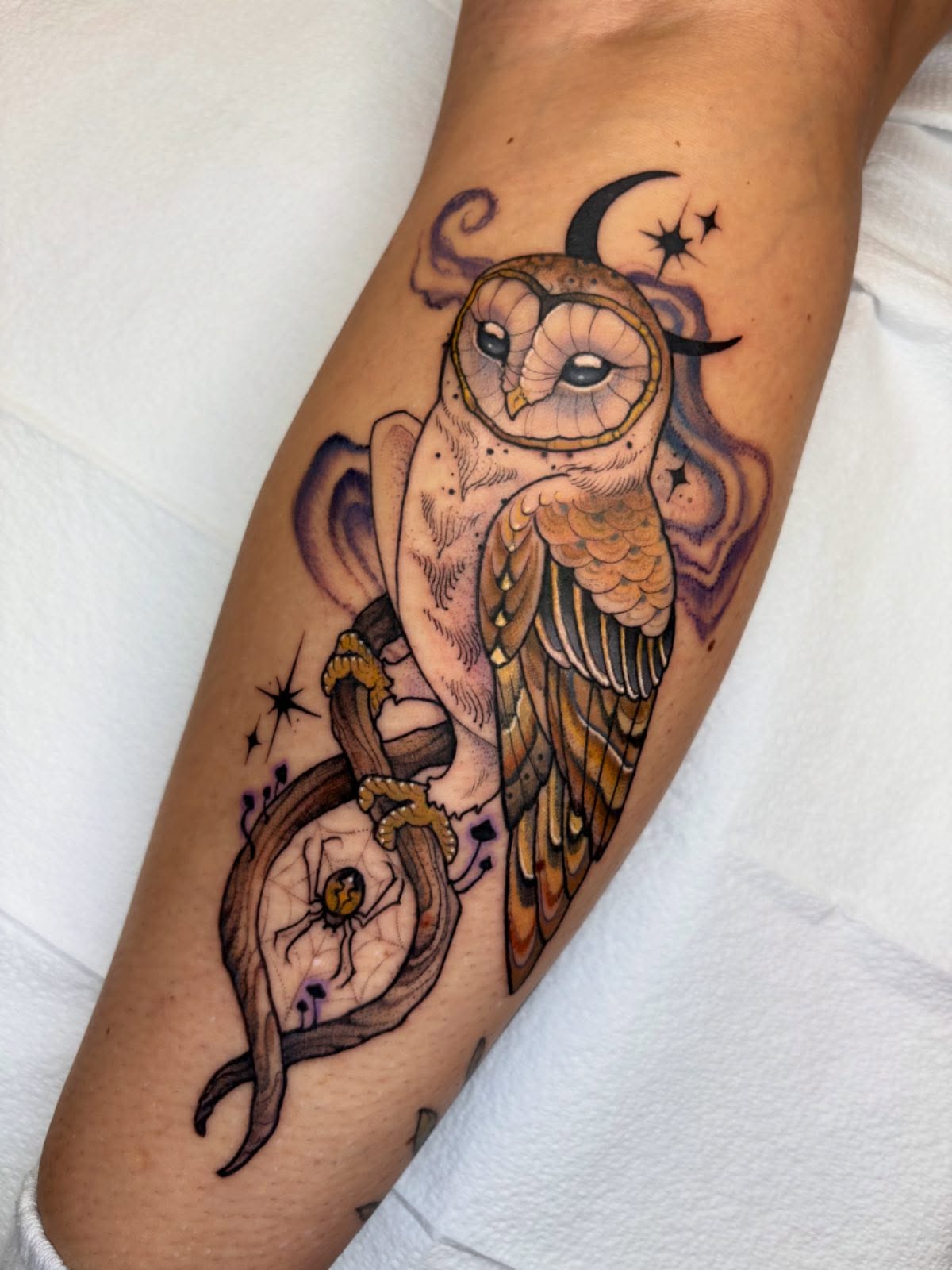 Mystical Owl with Moon