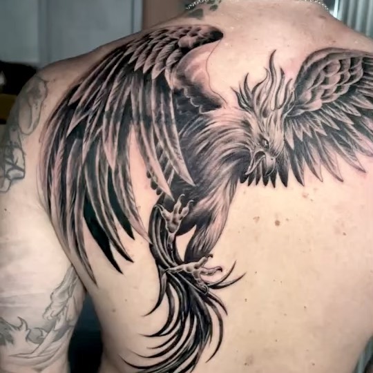 Mythical Phoenix Flight