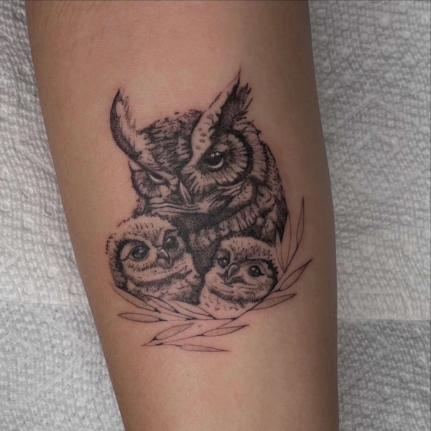 Owl Family Tattoo
