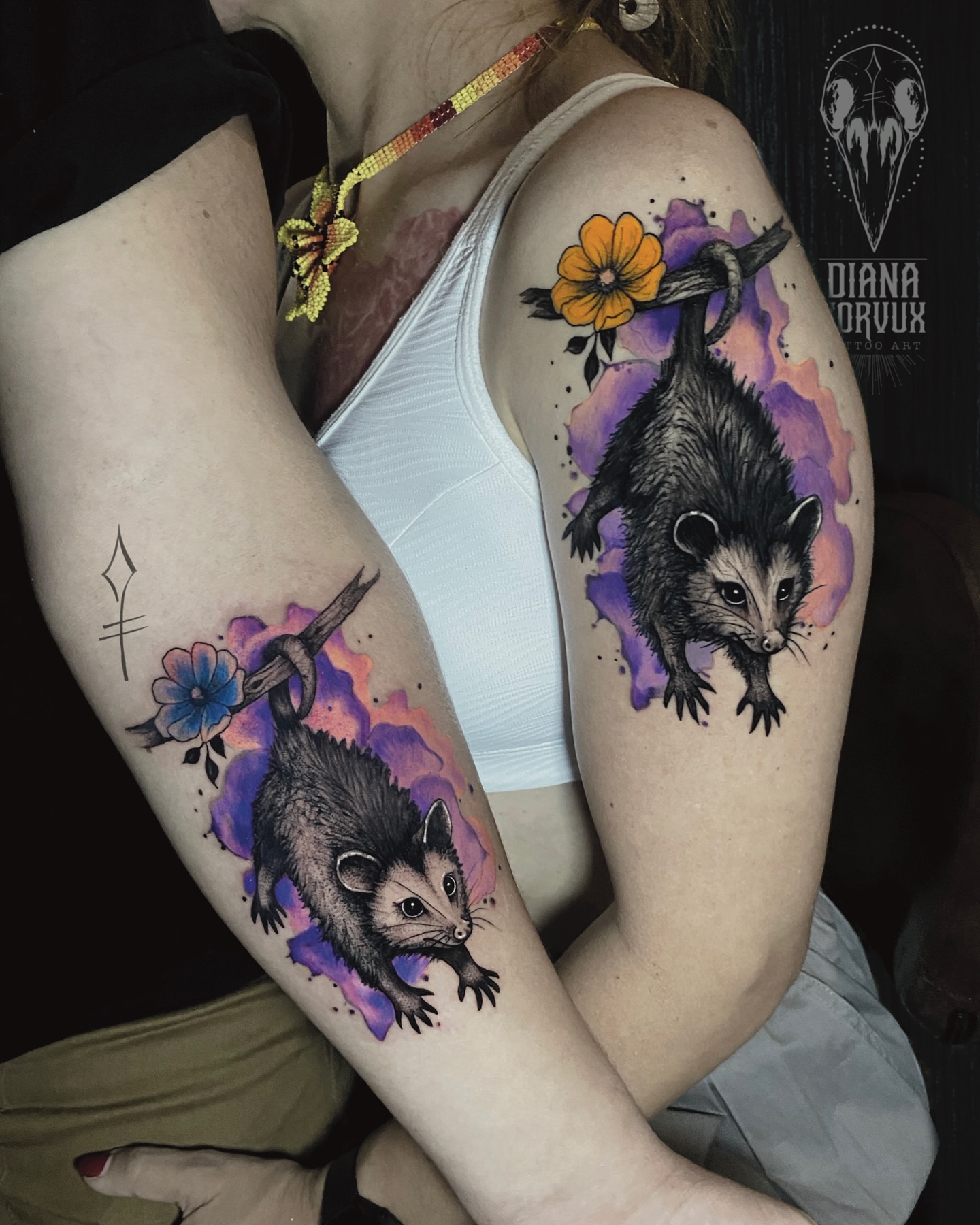 Pareja de mapaches