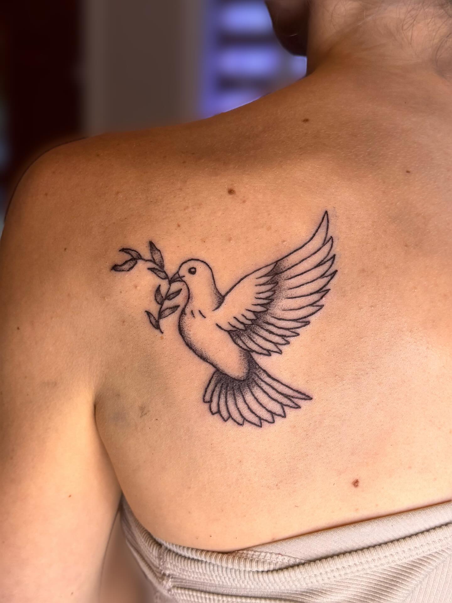 Peace Dove Tattoo