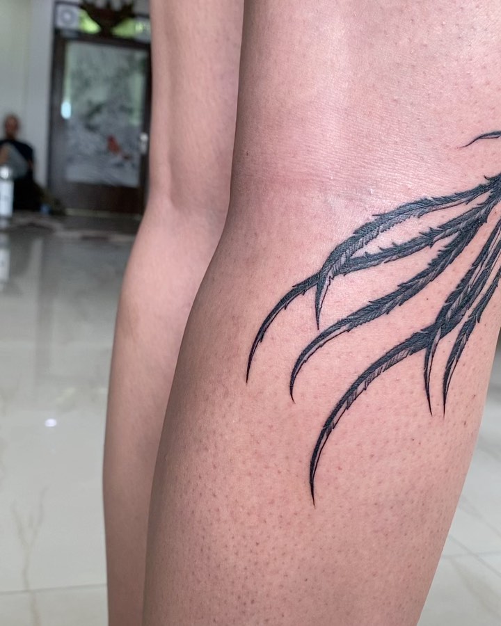 Phoenix Feather Tattoo