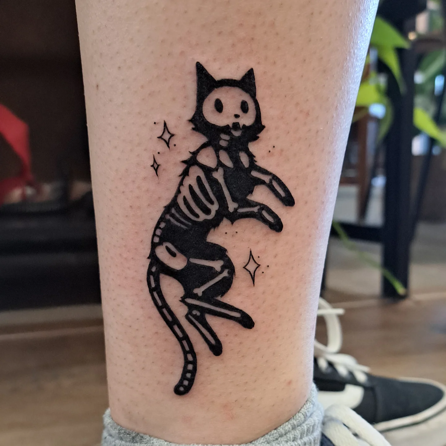 Playful Cat Skeleton
