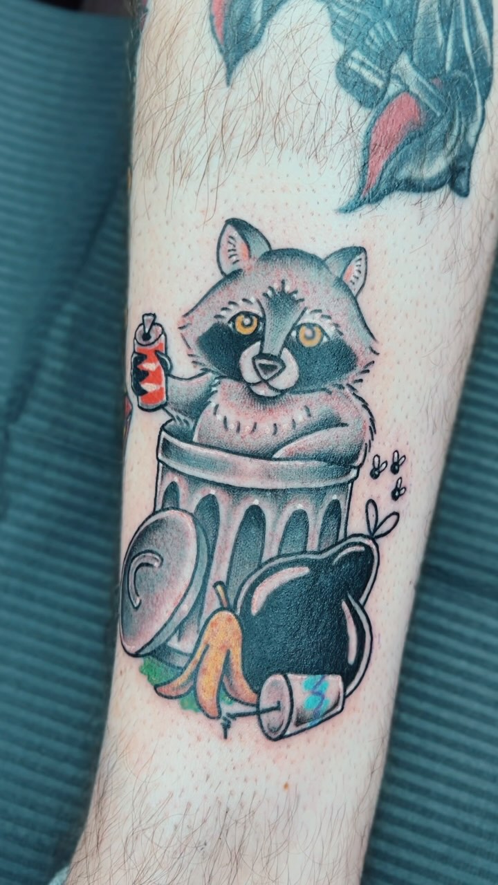 Playful Raccoon Trash