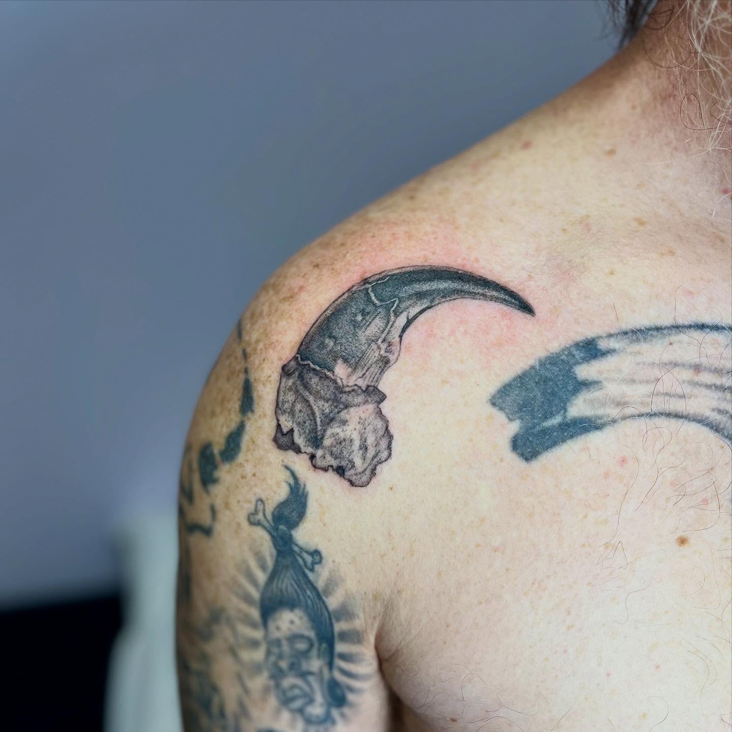 Realistic Bear Claw