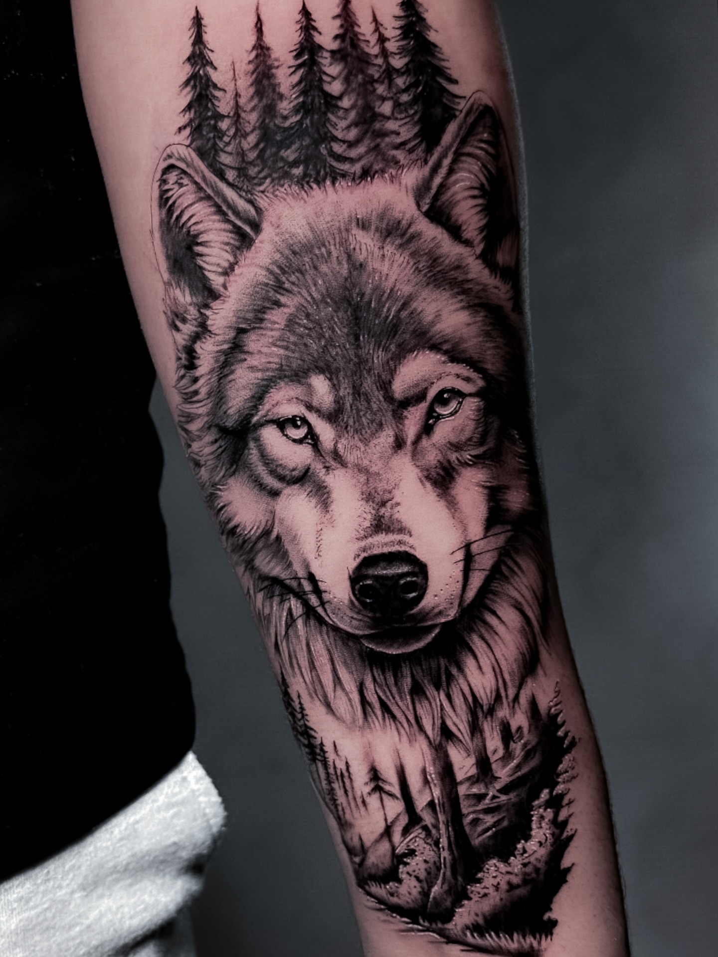 Lobo realista y garras