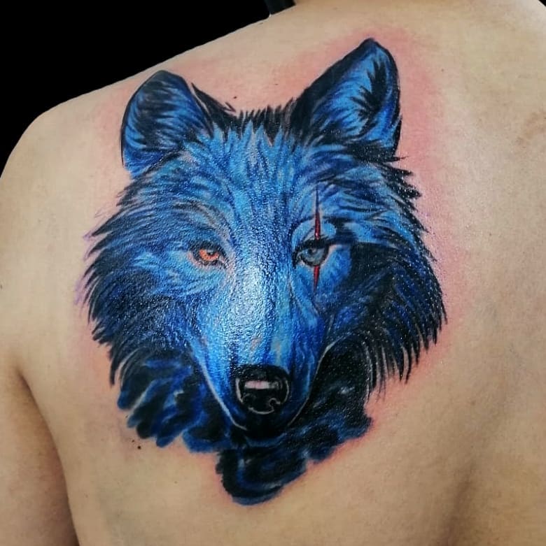 Lobo azul realista