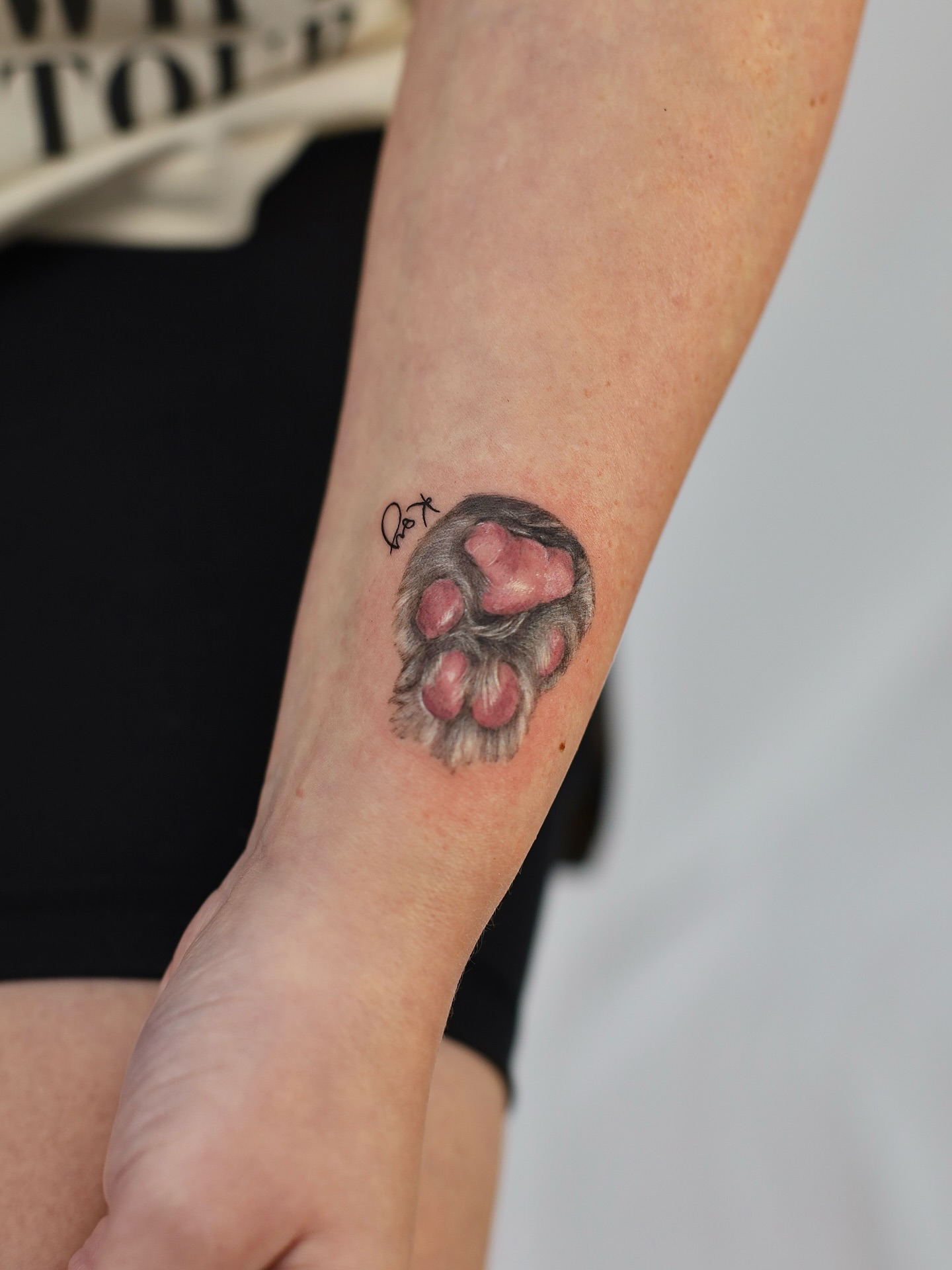 Realistic Cat Paw Print