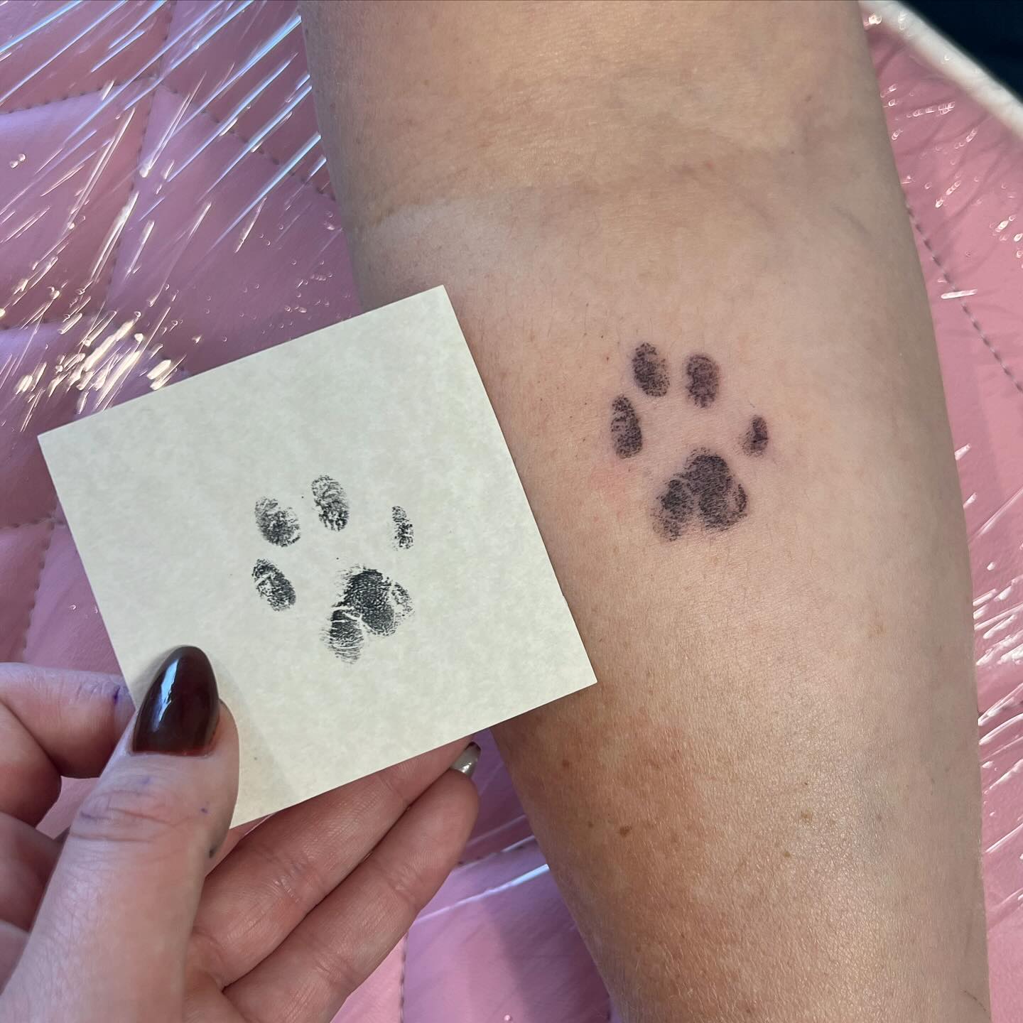 Realistic Cat Paw Print