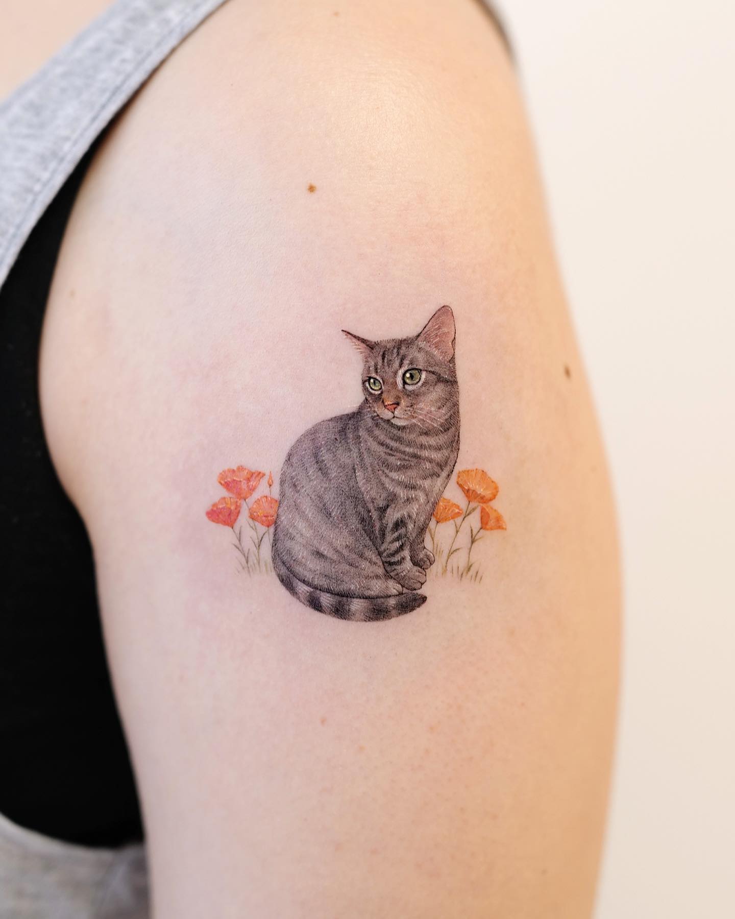 Cat Paw Serenity