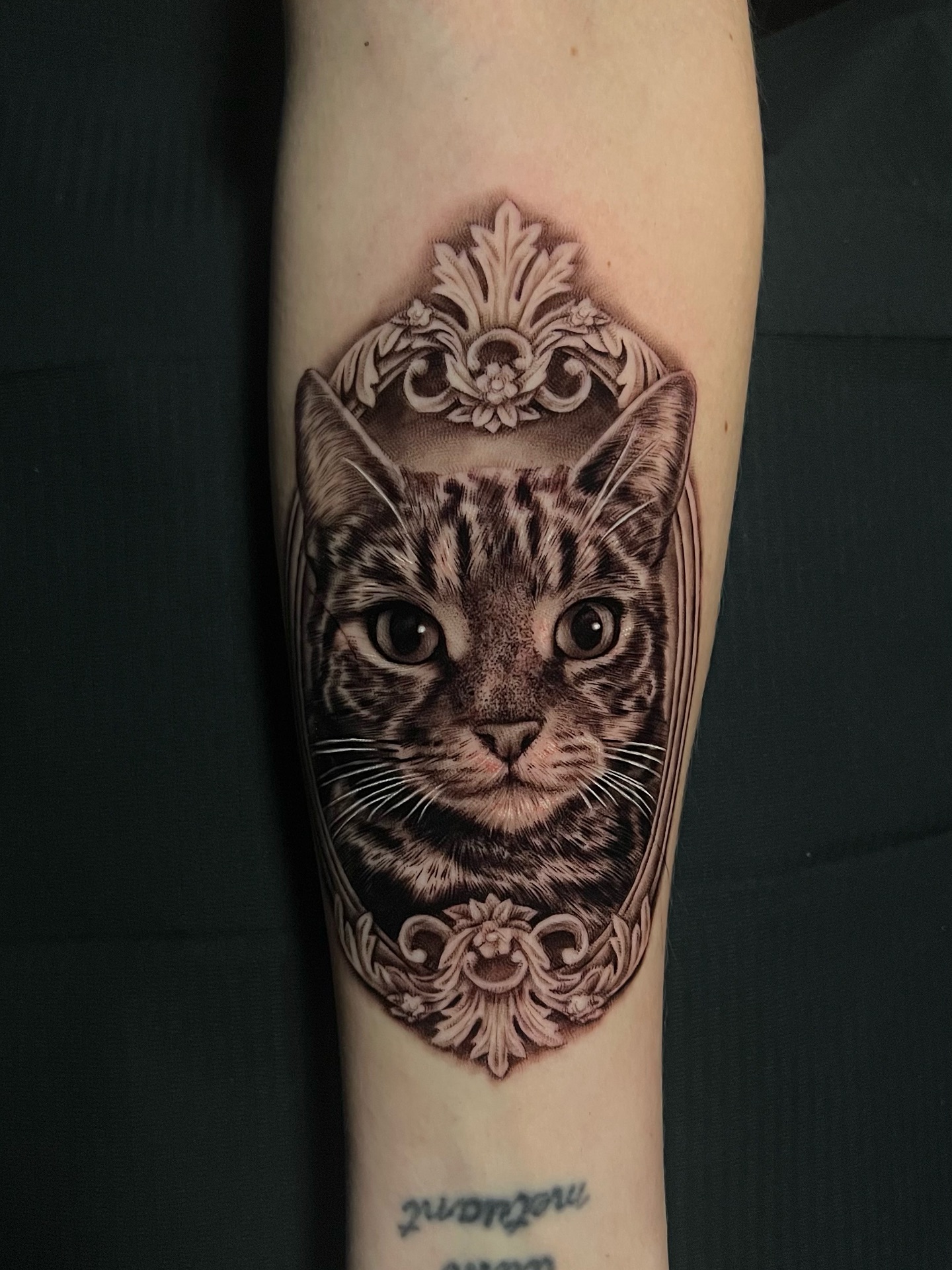 Realistic Cat Portrait
