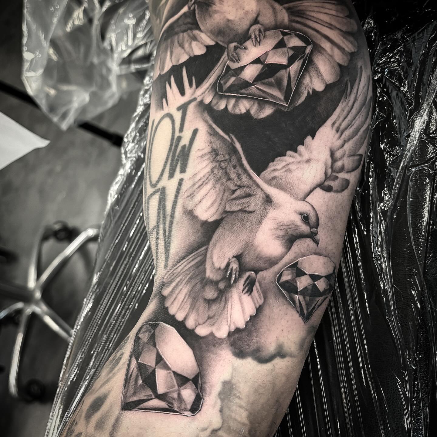 Realistic Dove & Diamonds