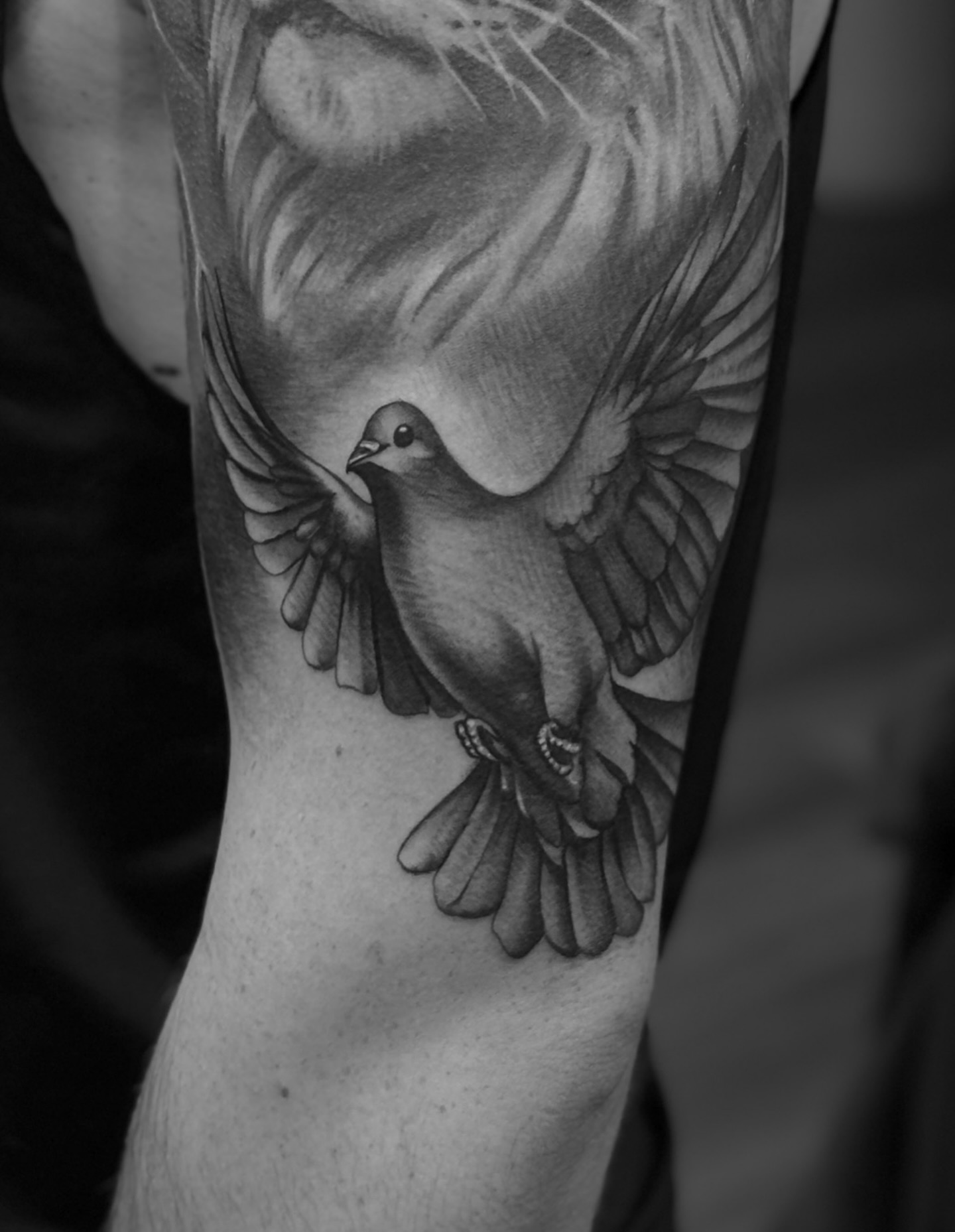 Realistic Dove Flight