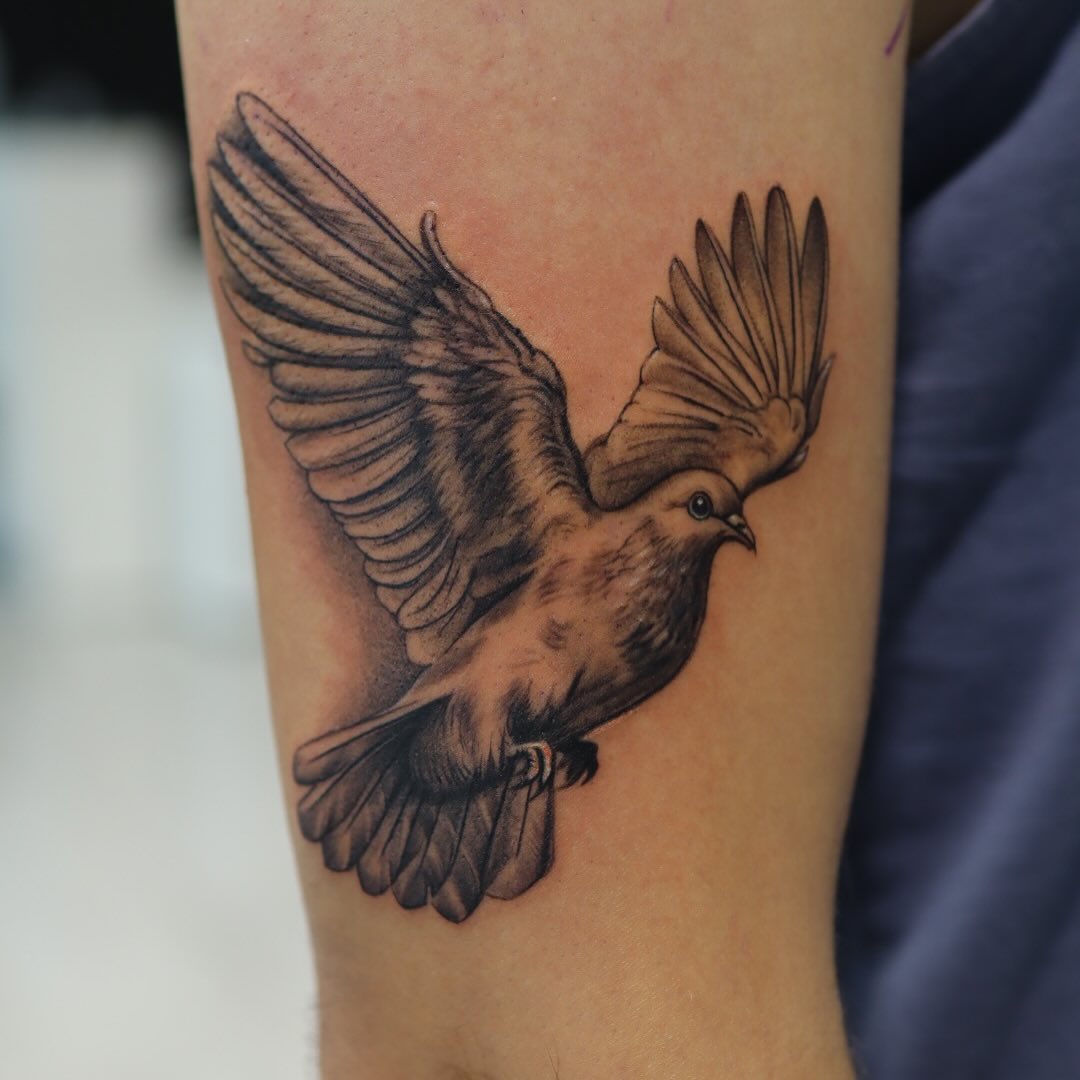 Realistic Dove Flight