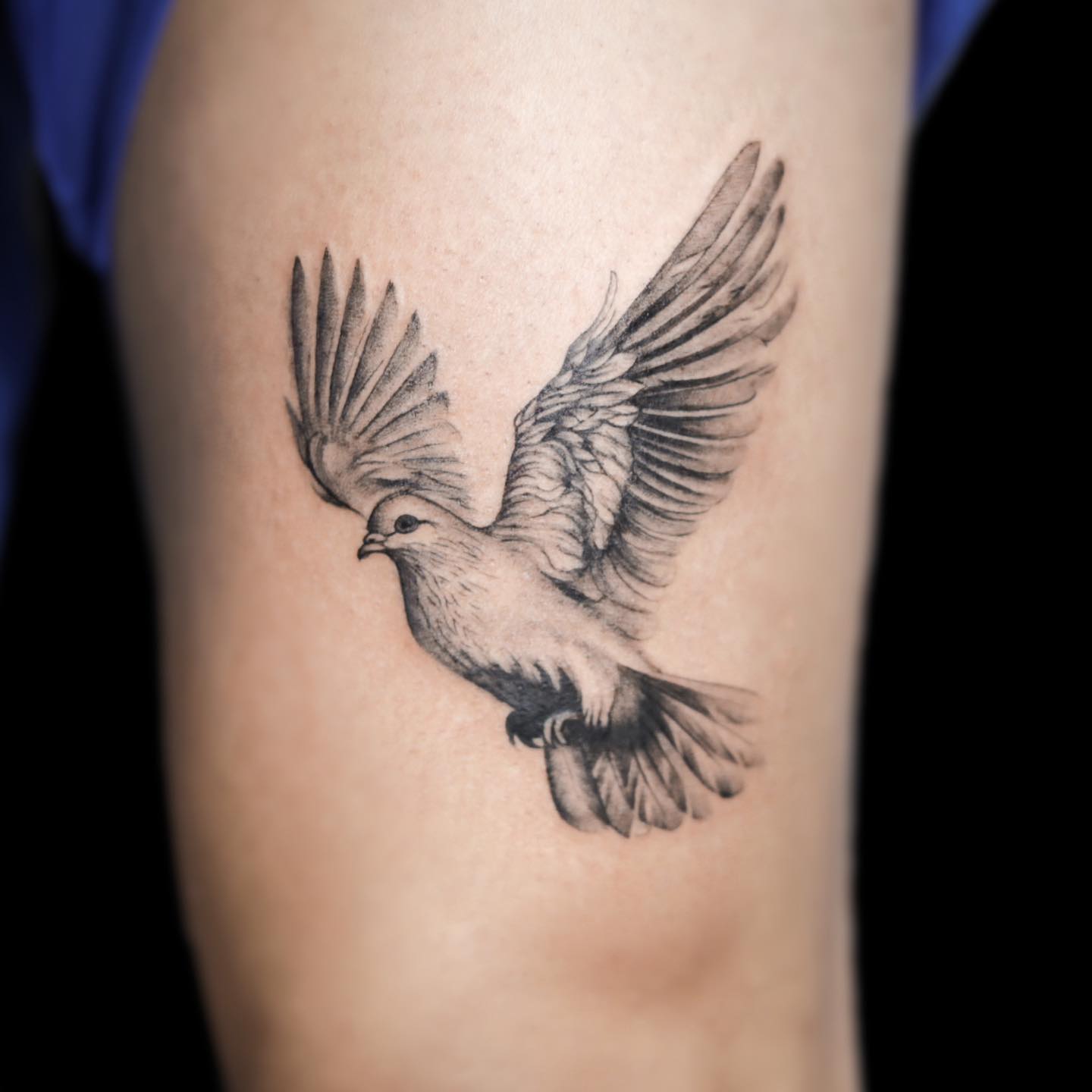 Realistic Flying Dove