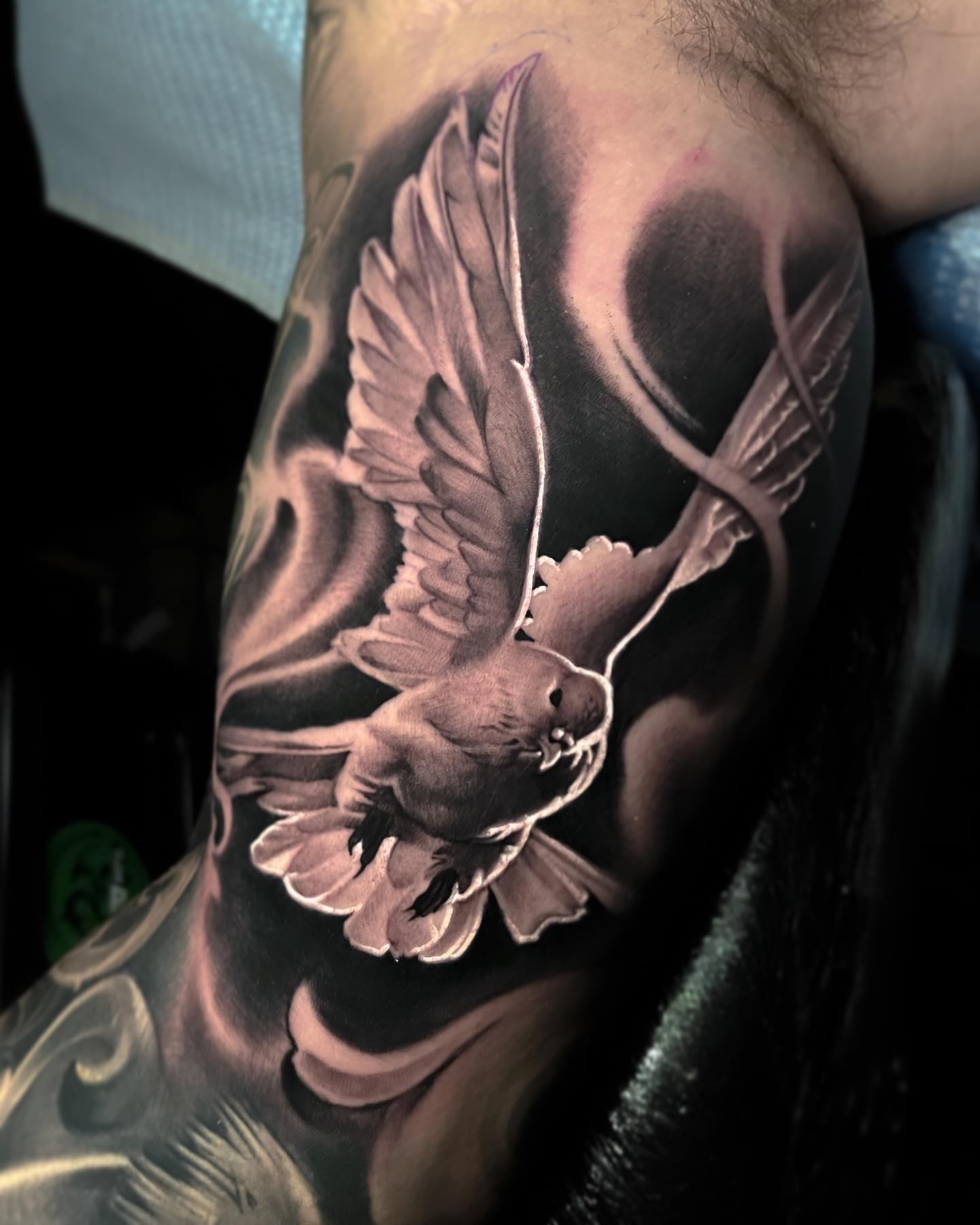 Realistic Flying Dove