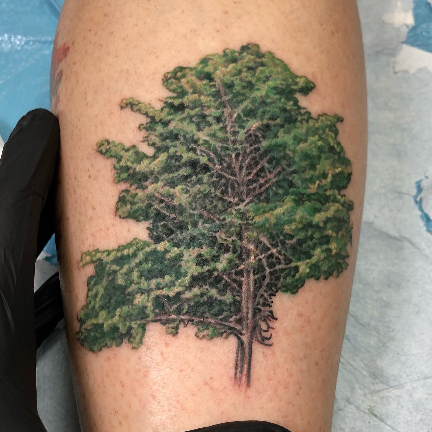 Realistic Green Tree Tattoo
