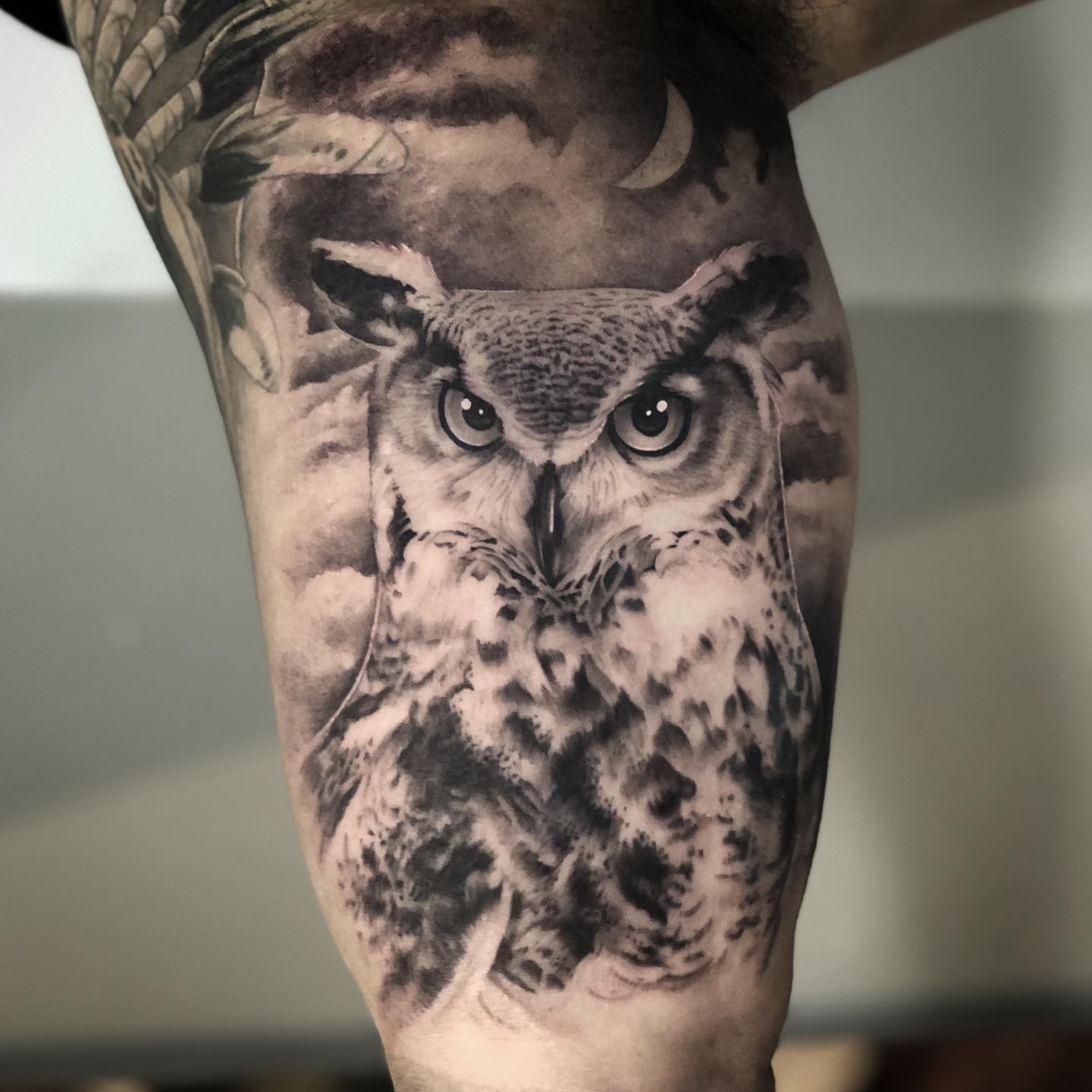 Realistic Owl Portrait