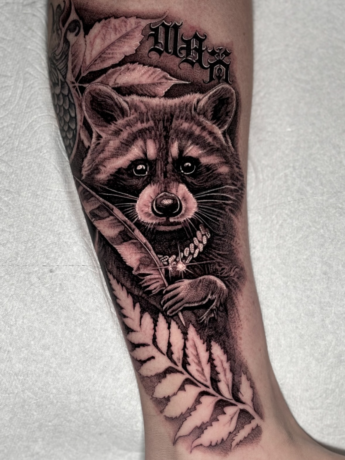 Realistic Raccoon Portrait