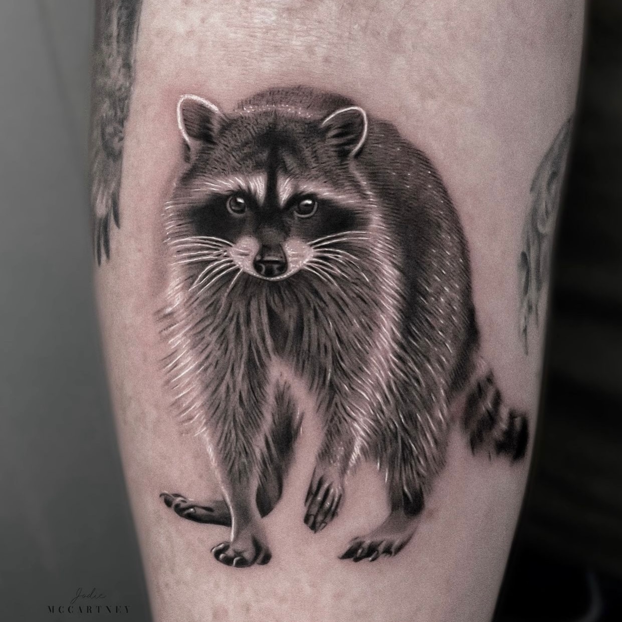 Realistic Raccoon Portrait