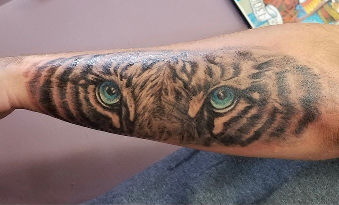 Tiger Eye Roar