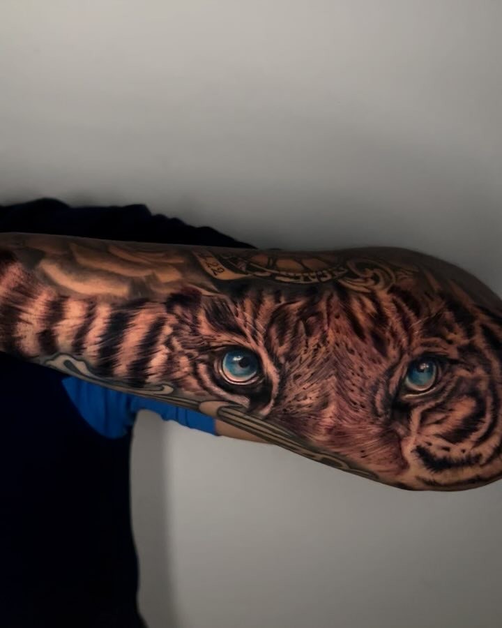 Cabeza de Tigre Realista