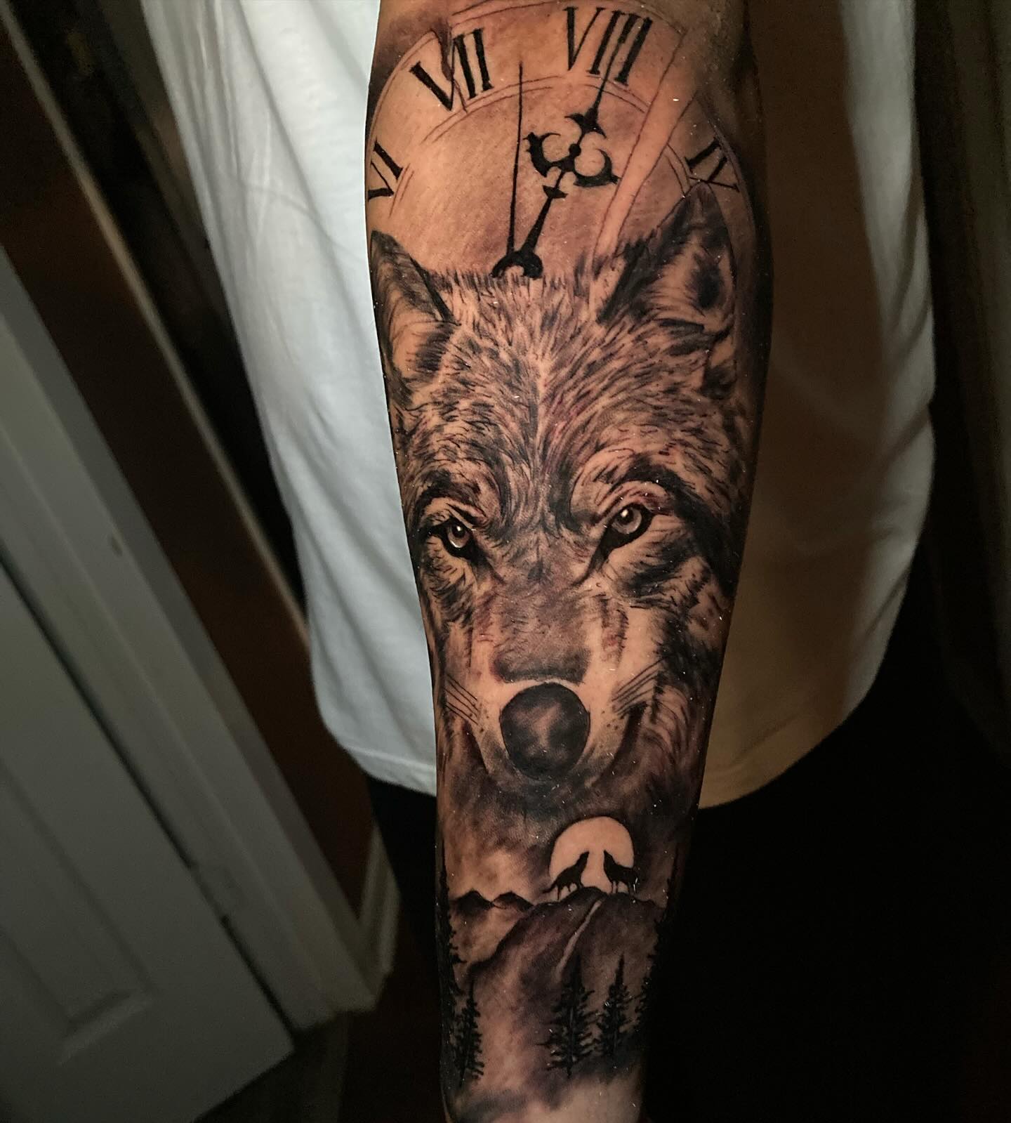 Lobo realista y brújula
