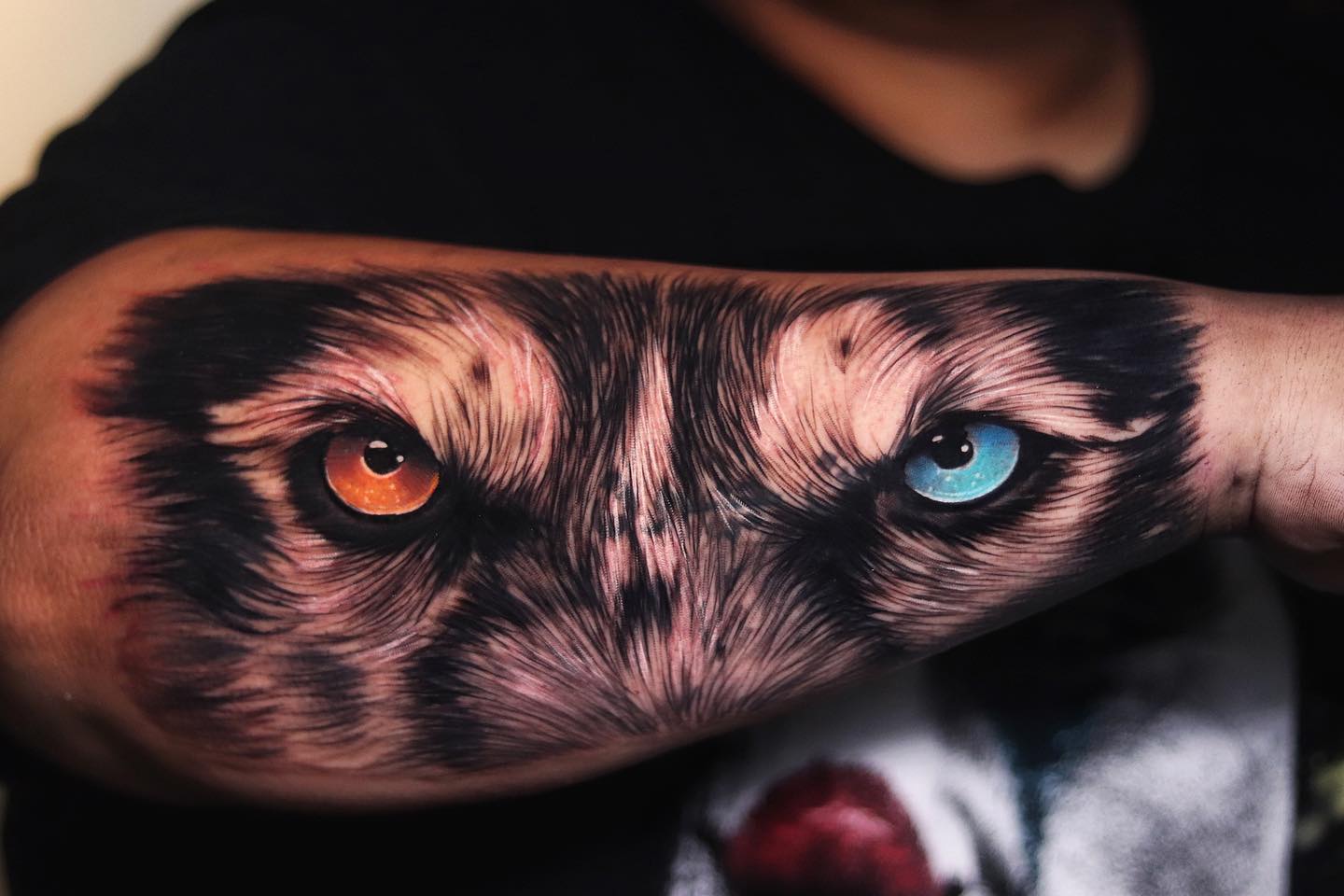 Lobo realista ojos vivos