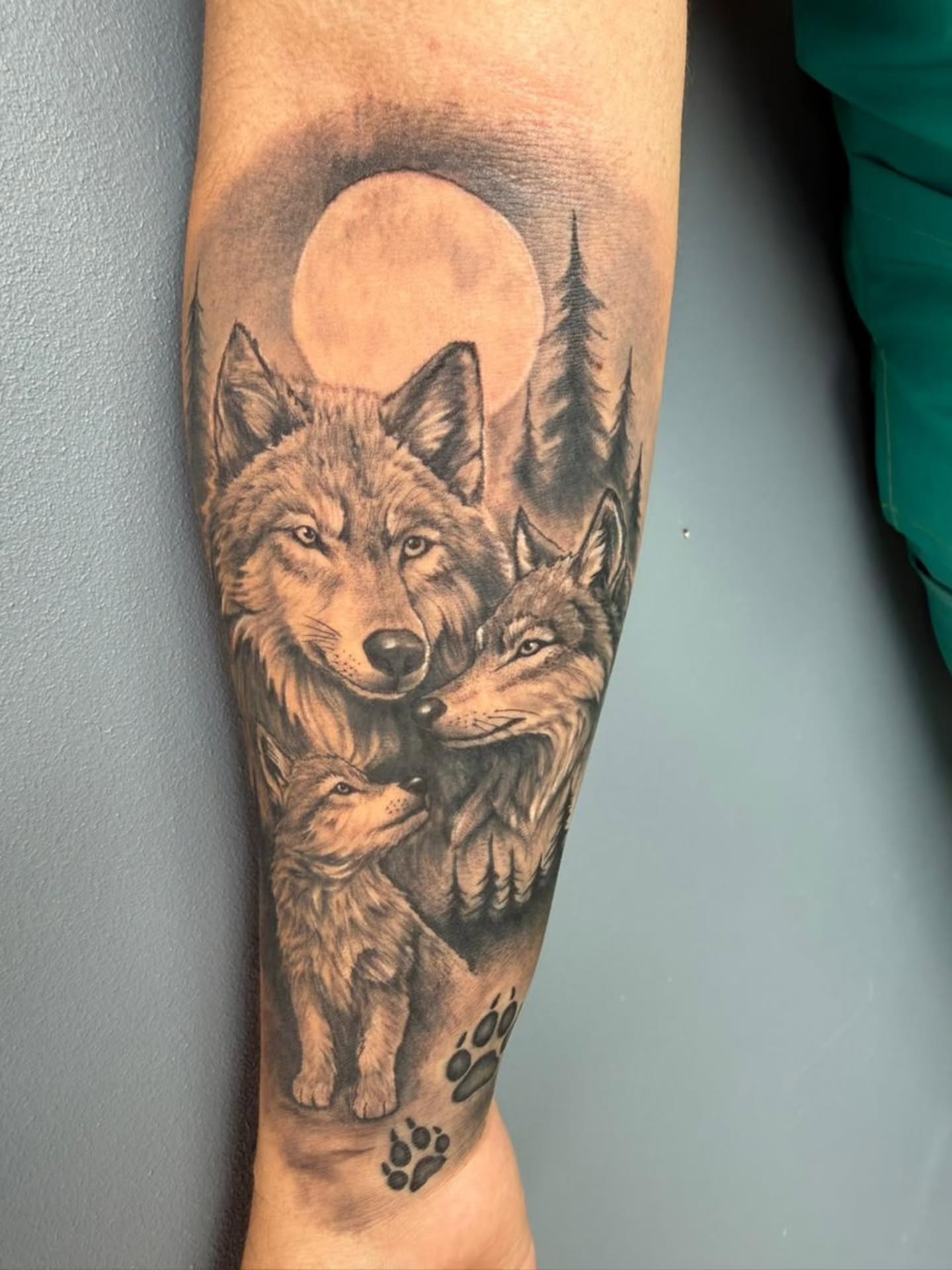 Lobos luna y bosque
