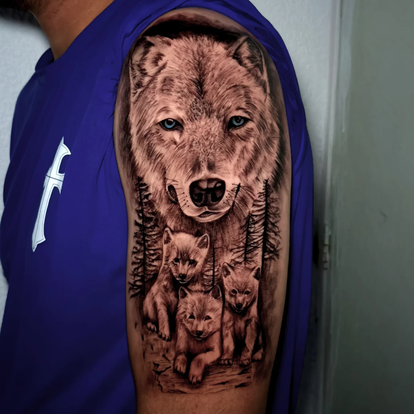 Lobo y manada
