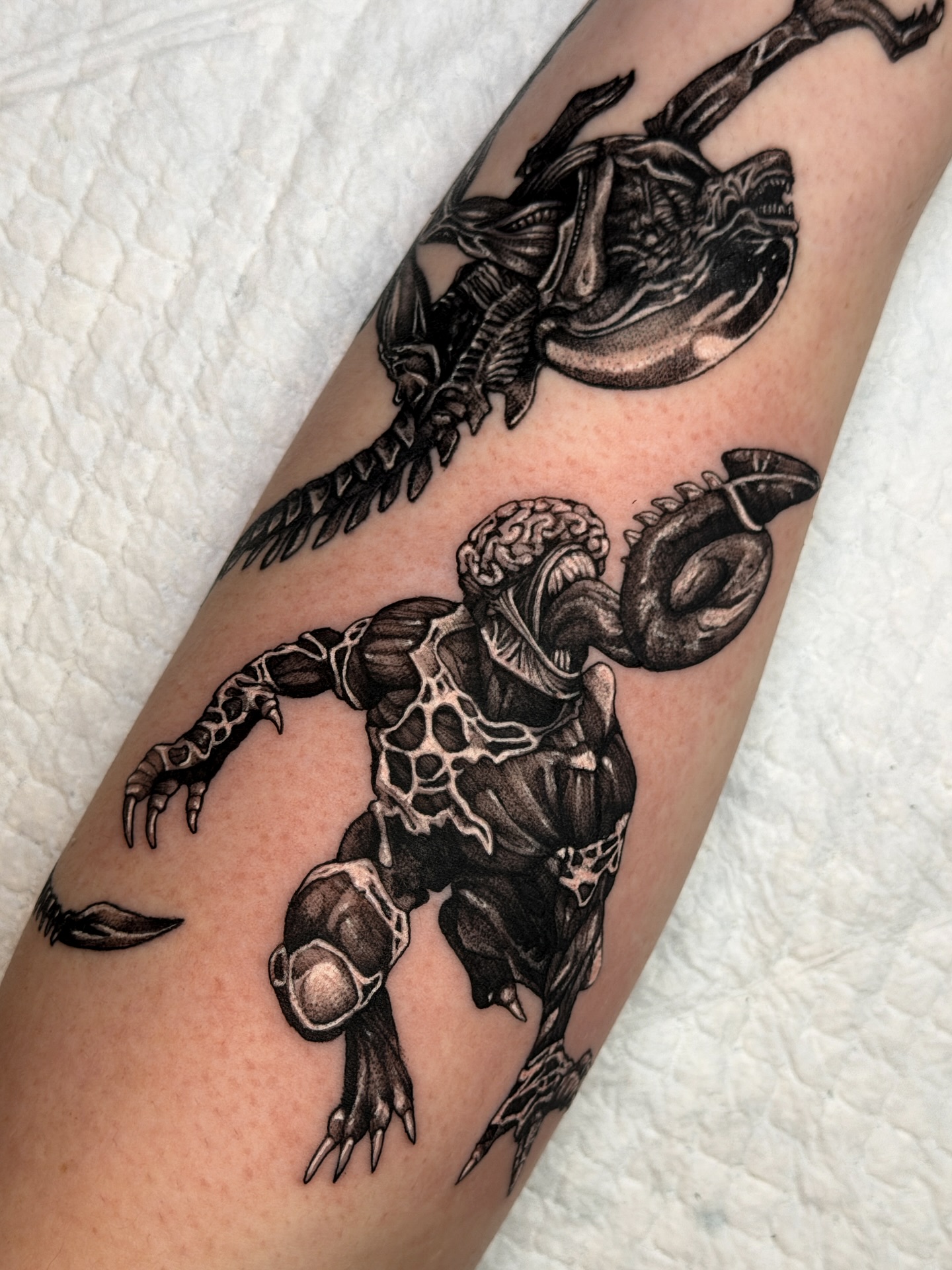 Resident Evil Biohazard Arm