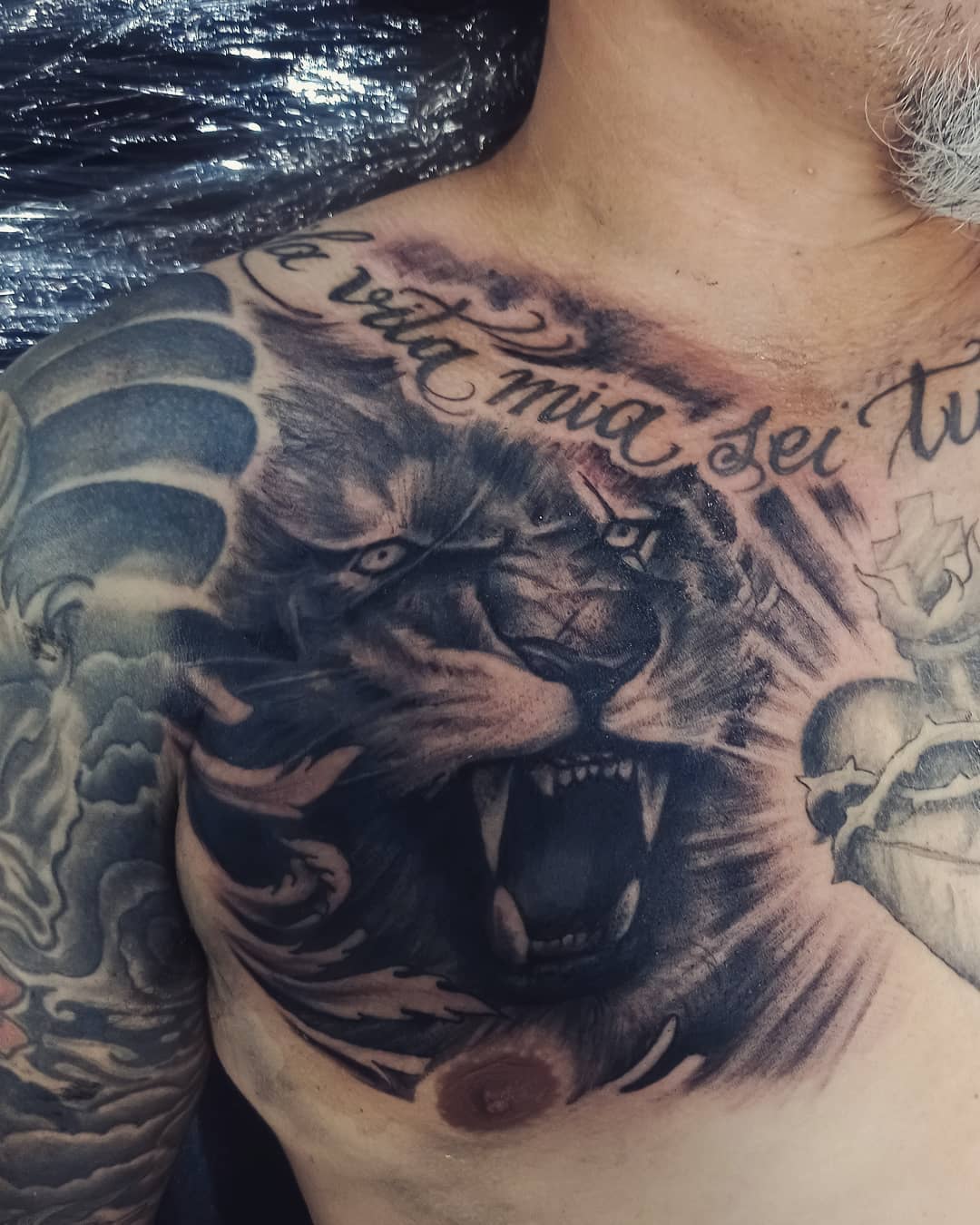 Roaring Lion Chest Tattoo